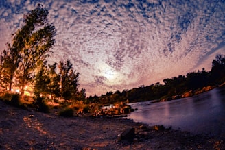 An ethereal light illuminating the riverbank.