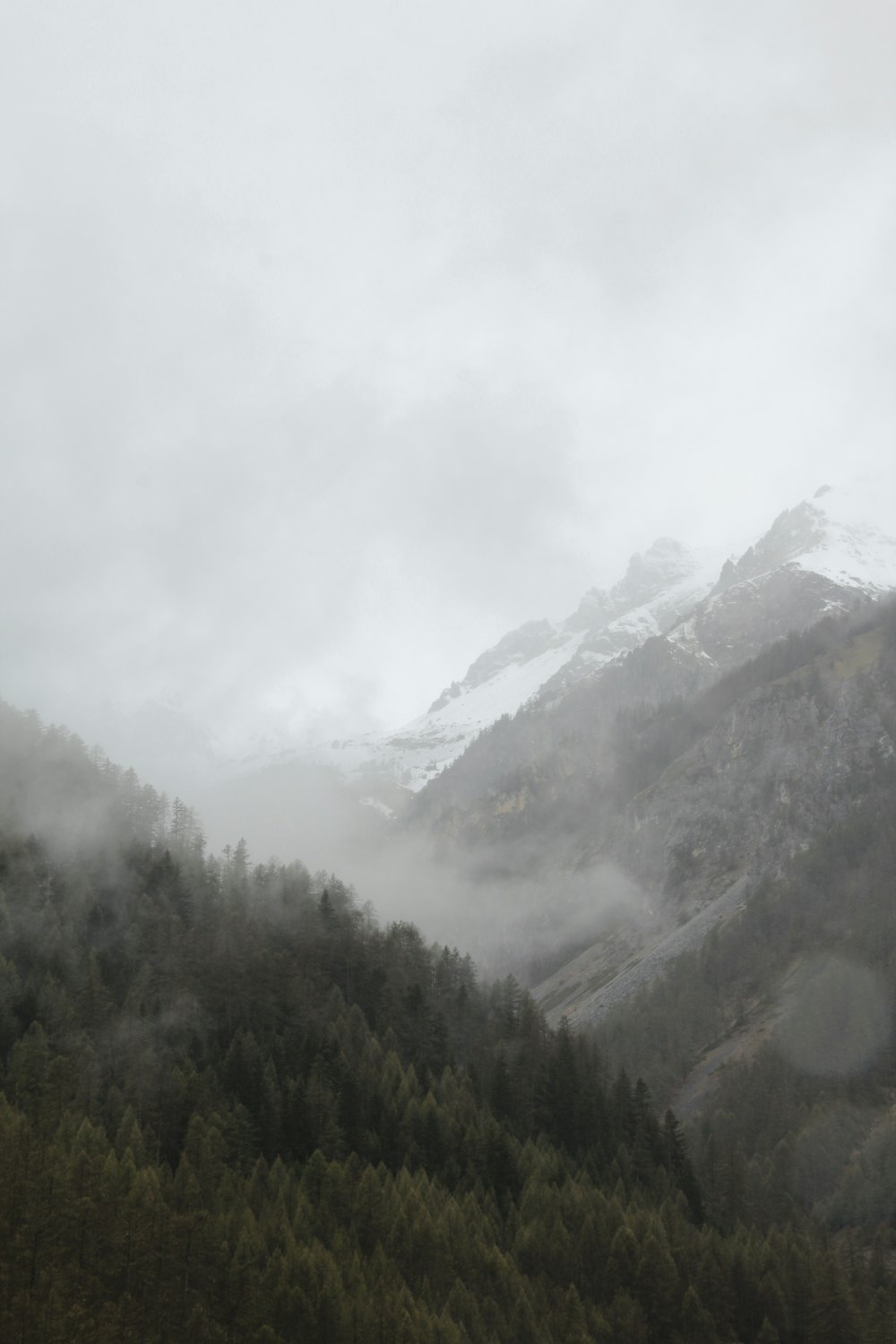 昼間の白い雲の下の山の緑の木々