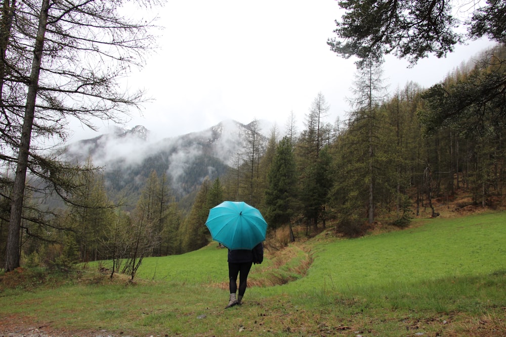 Person in schwarzer Jacke mit blauem Regenschirm, die bei nebligem Wetter auf grünem Grasfeld spazieren geht