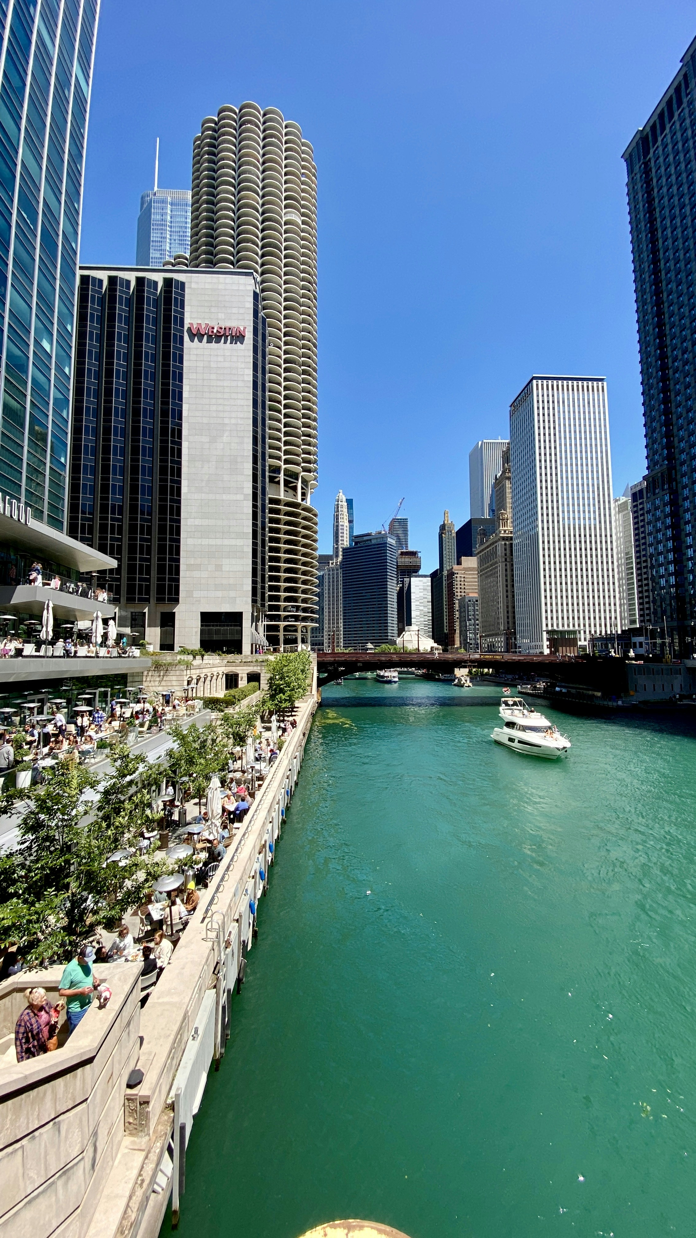 Photo by dapperprofessional