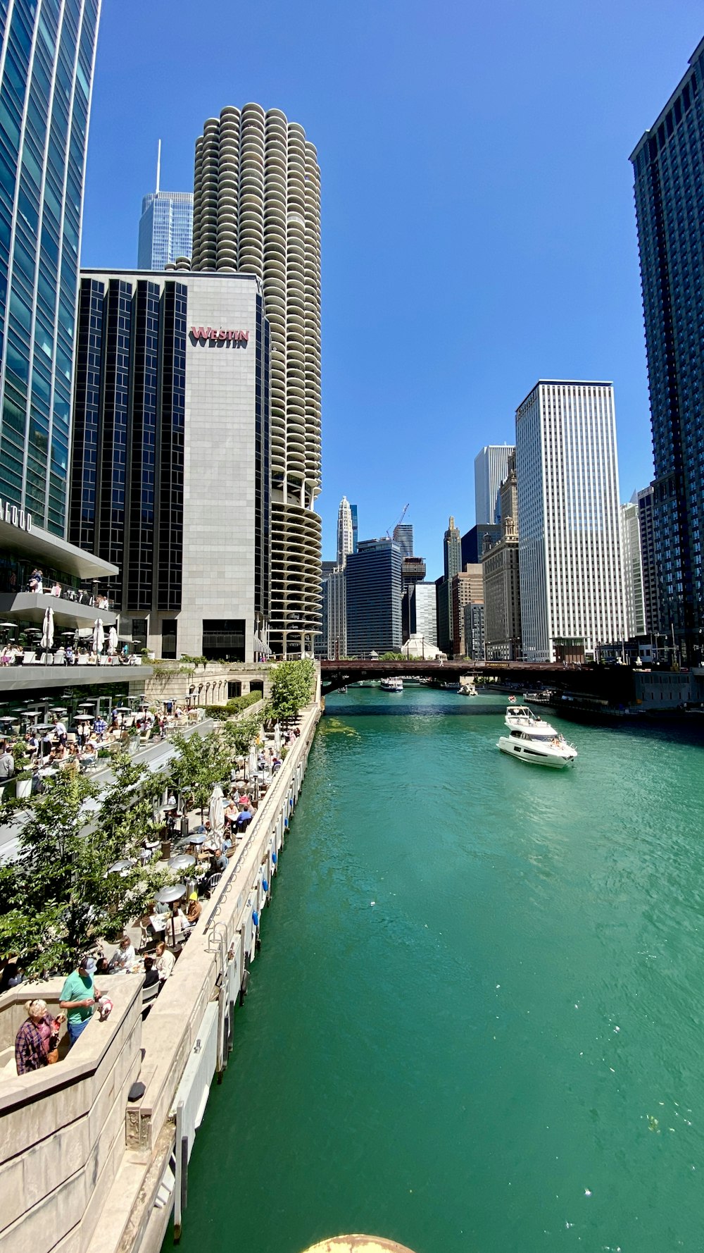 white and blue boat on water near city buildings during daytime