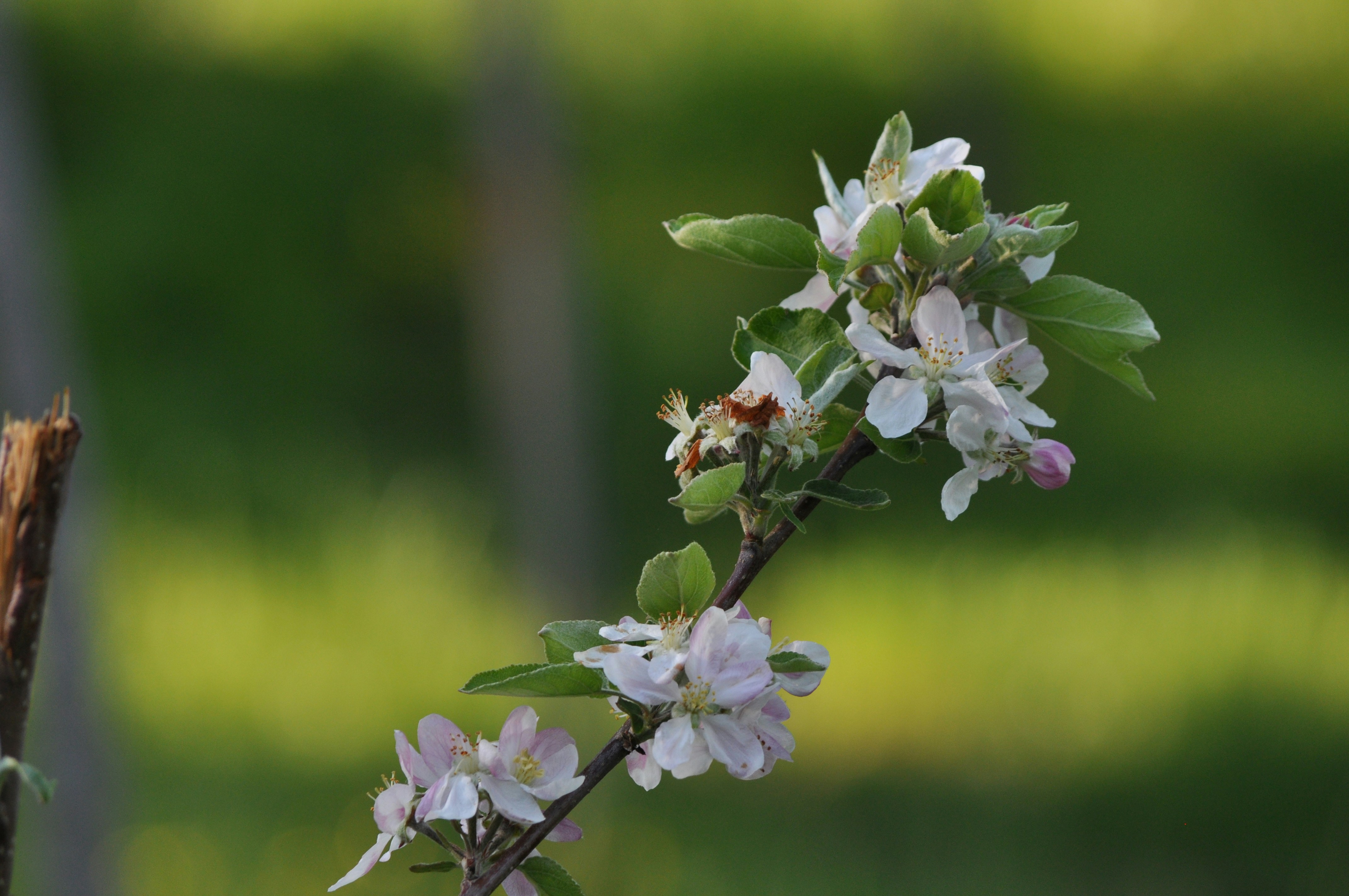 Photo by edrinspahiu