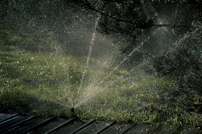 fixing sprinkler for green grass and trees to make your garden beautiful.