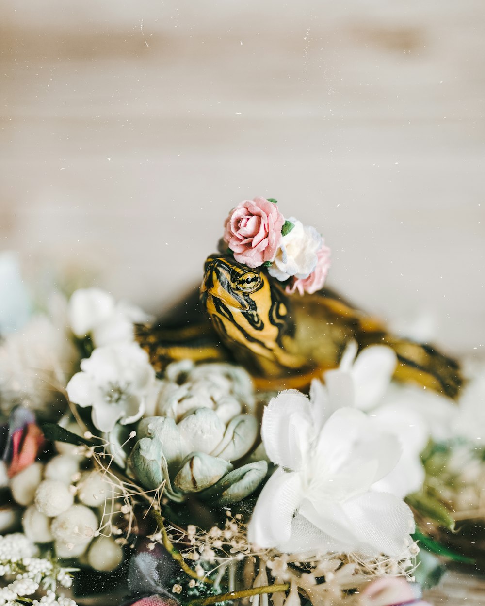 bouquet di fiori bianchi e rosa