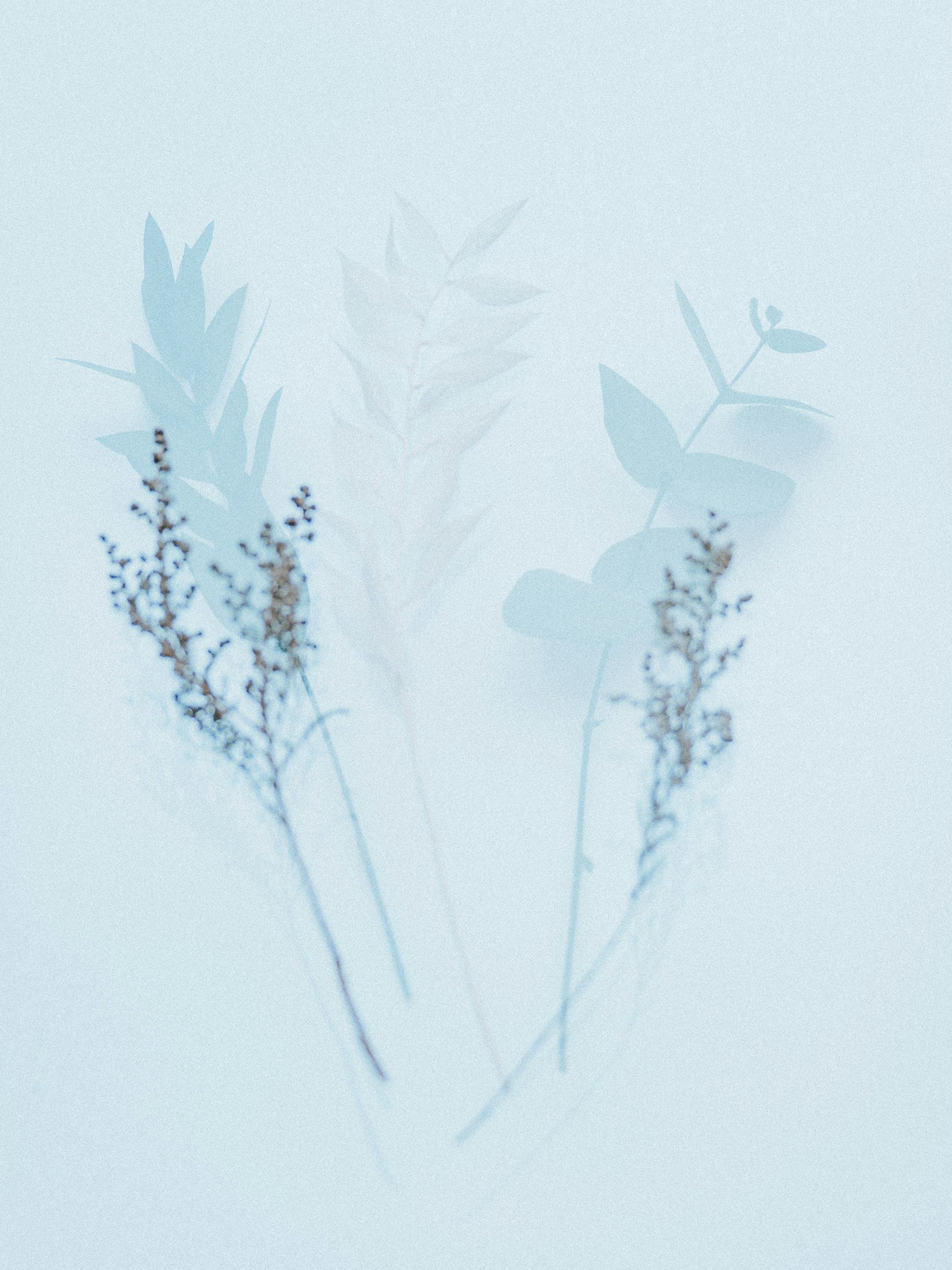 white and black flower painting