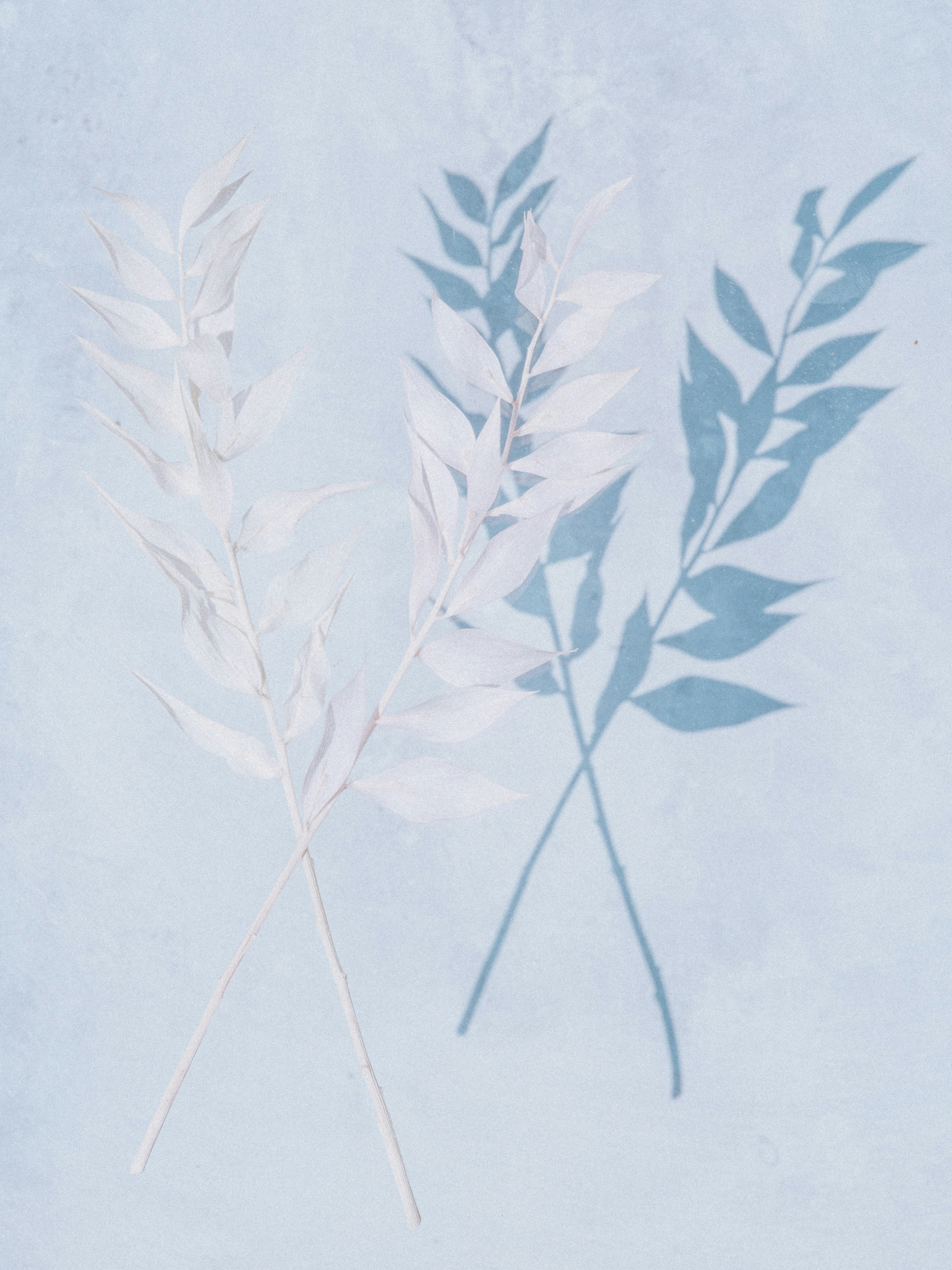 Photo by anniespratt