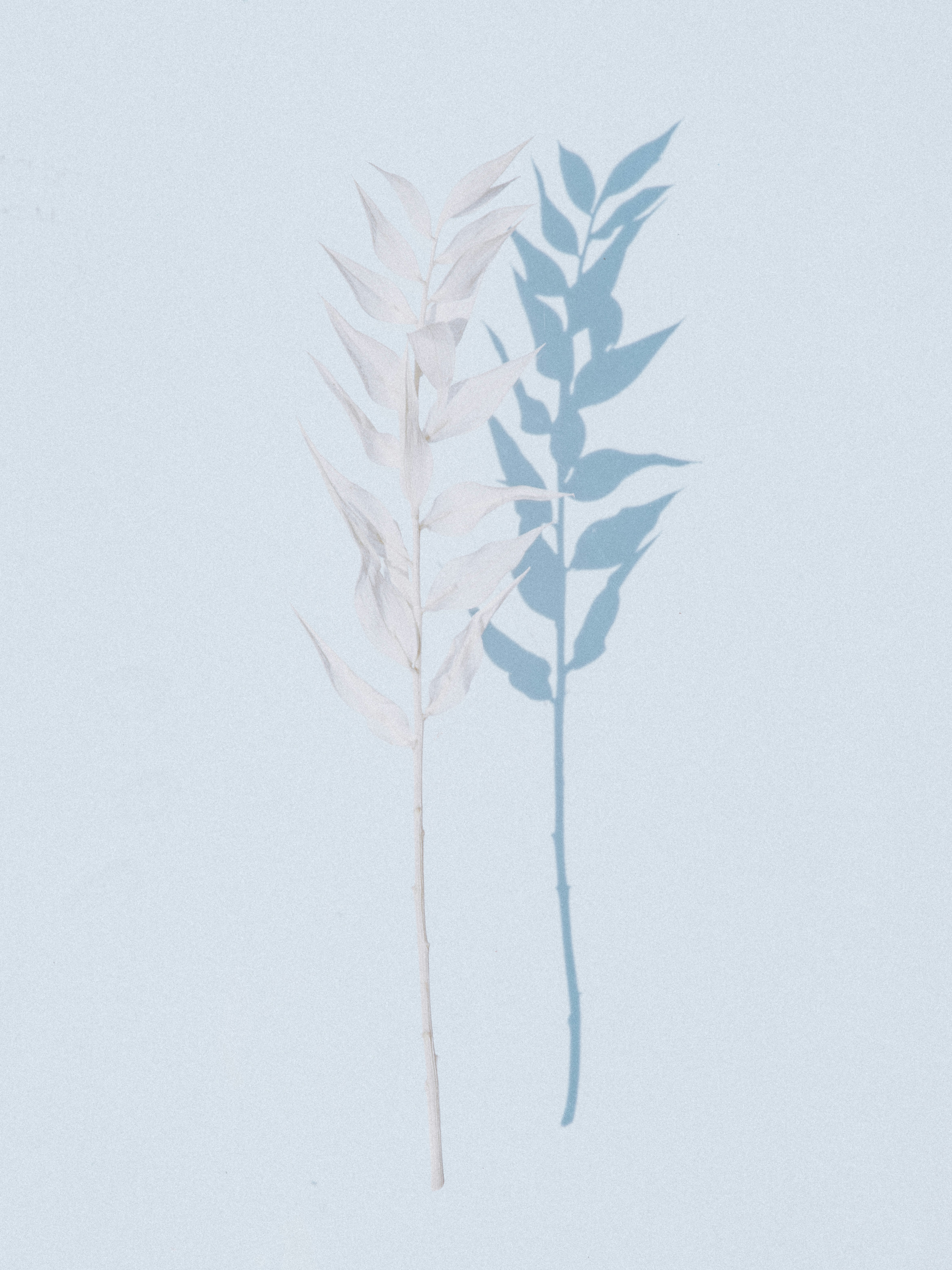 Photo by anniespratt