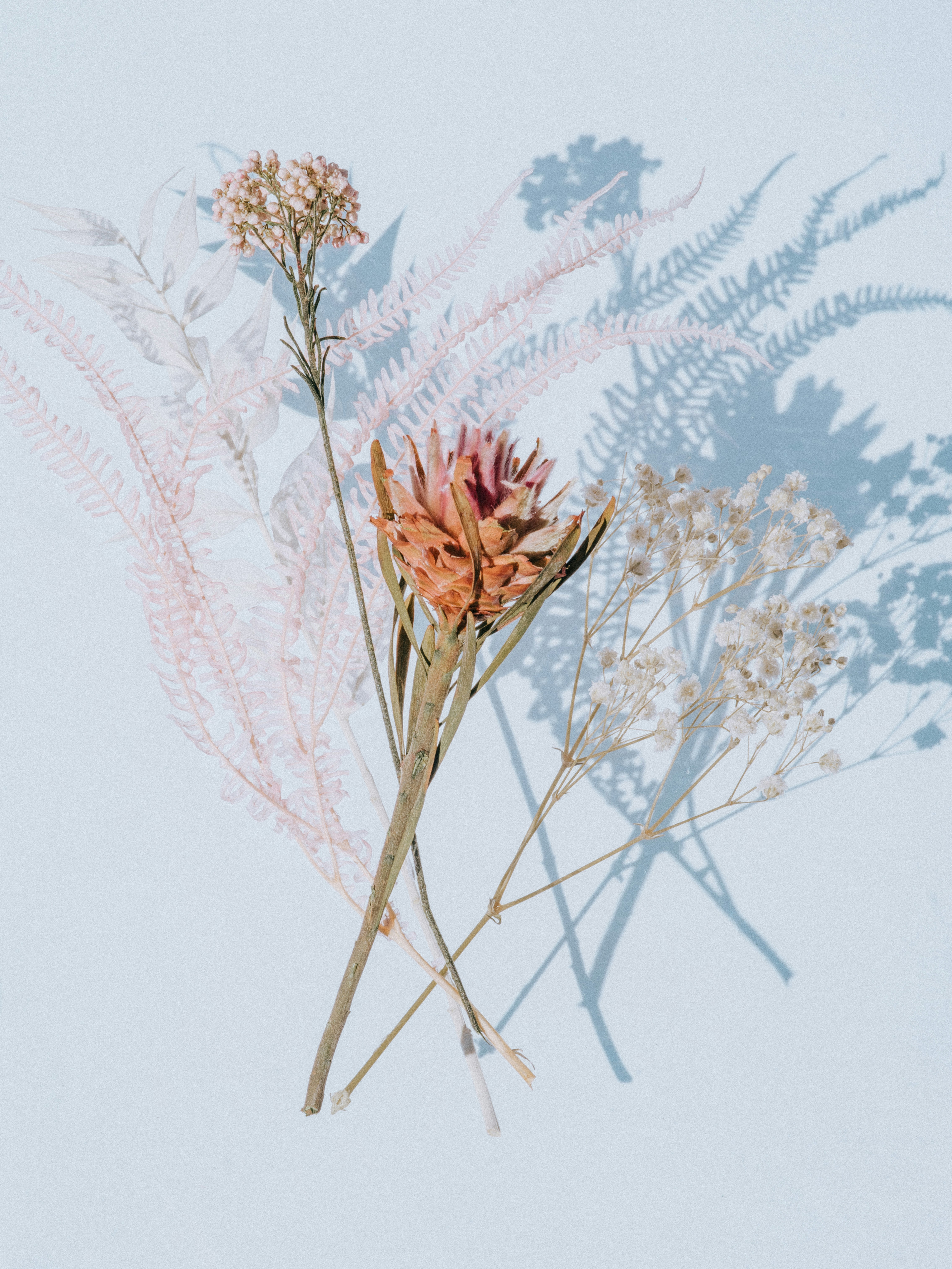 Find the perfect art wallpaper in Unsplash's massive, curated collection of HD photos. Each photo is optimized for your screen and free to use for all.