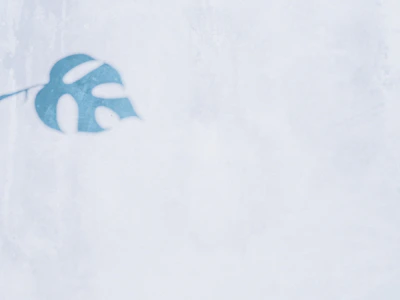 A minimalist logo of an eco-friendly company with green leaf icon