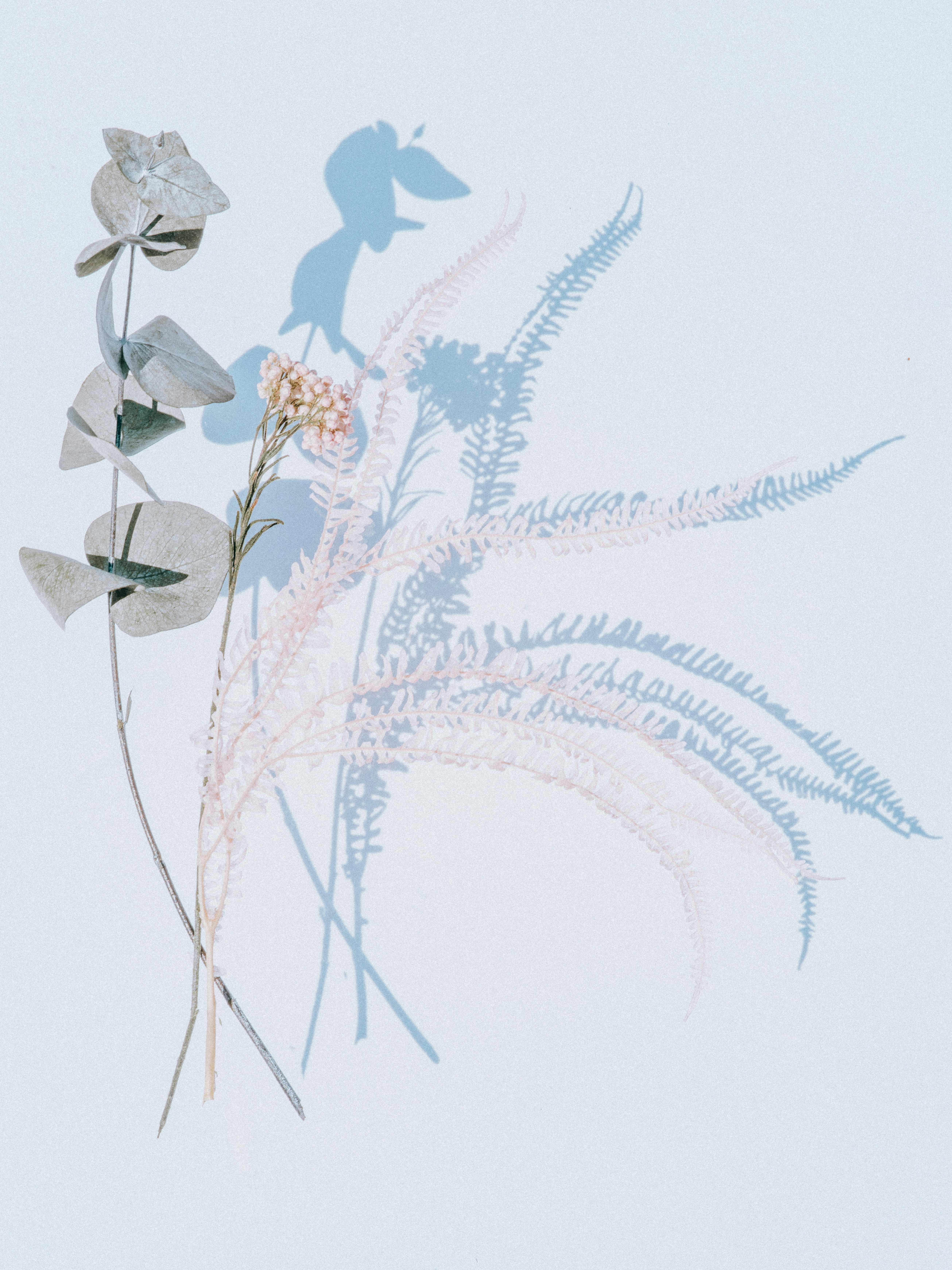 Photo by anniespratt