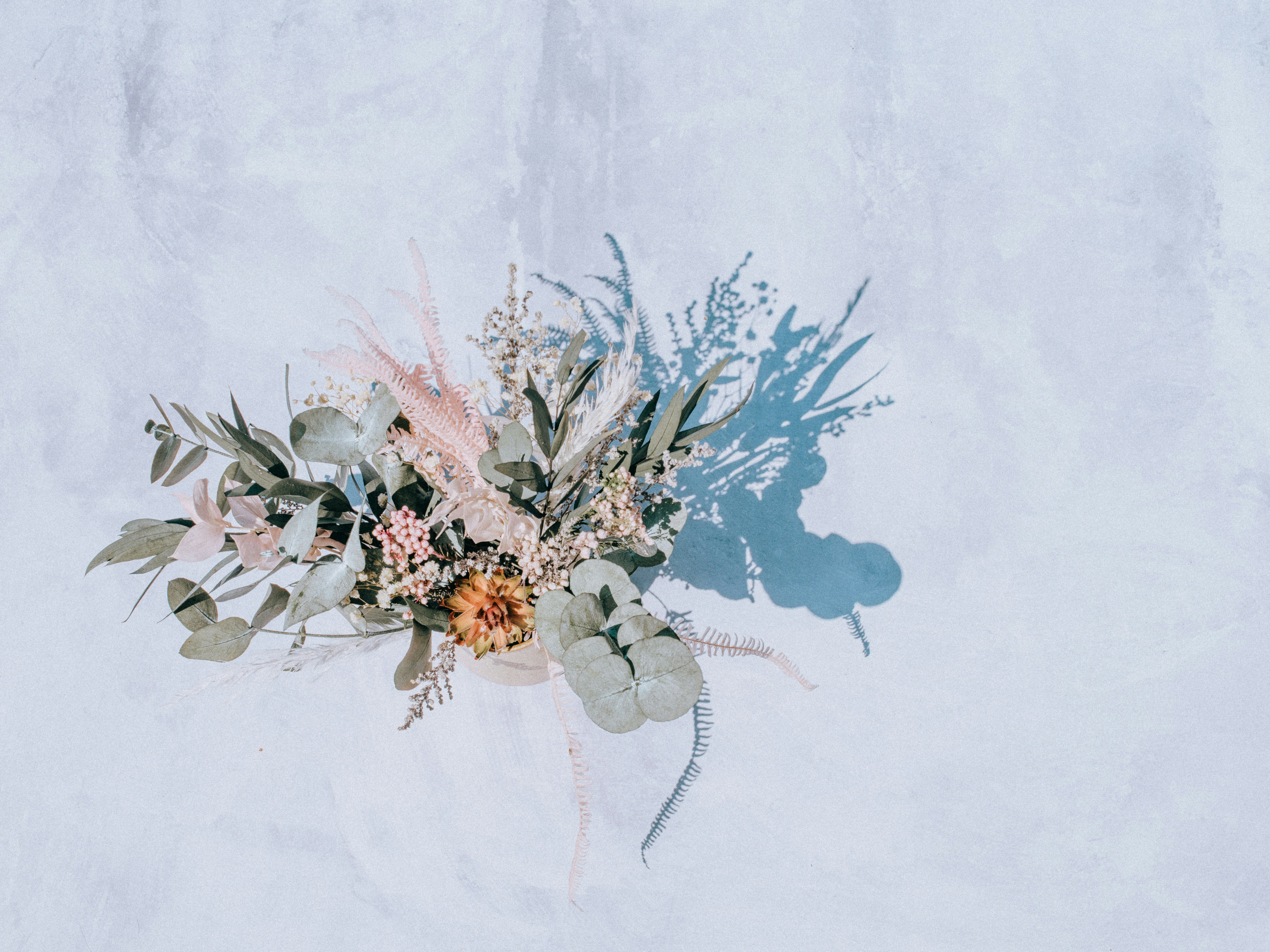 Choose from a curated selection of floral wallpapers for your mobile and desktop screens. Always free on Unsplash.