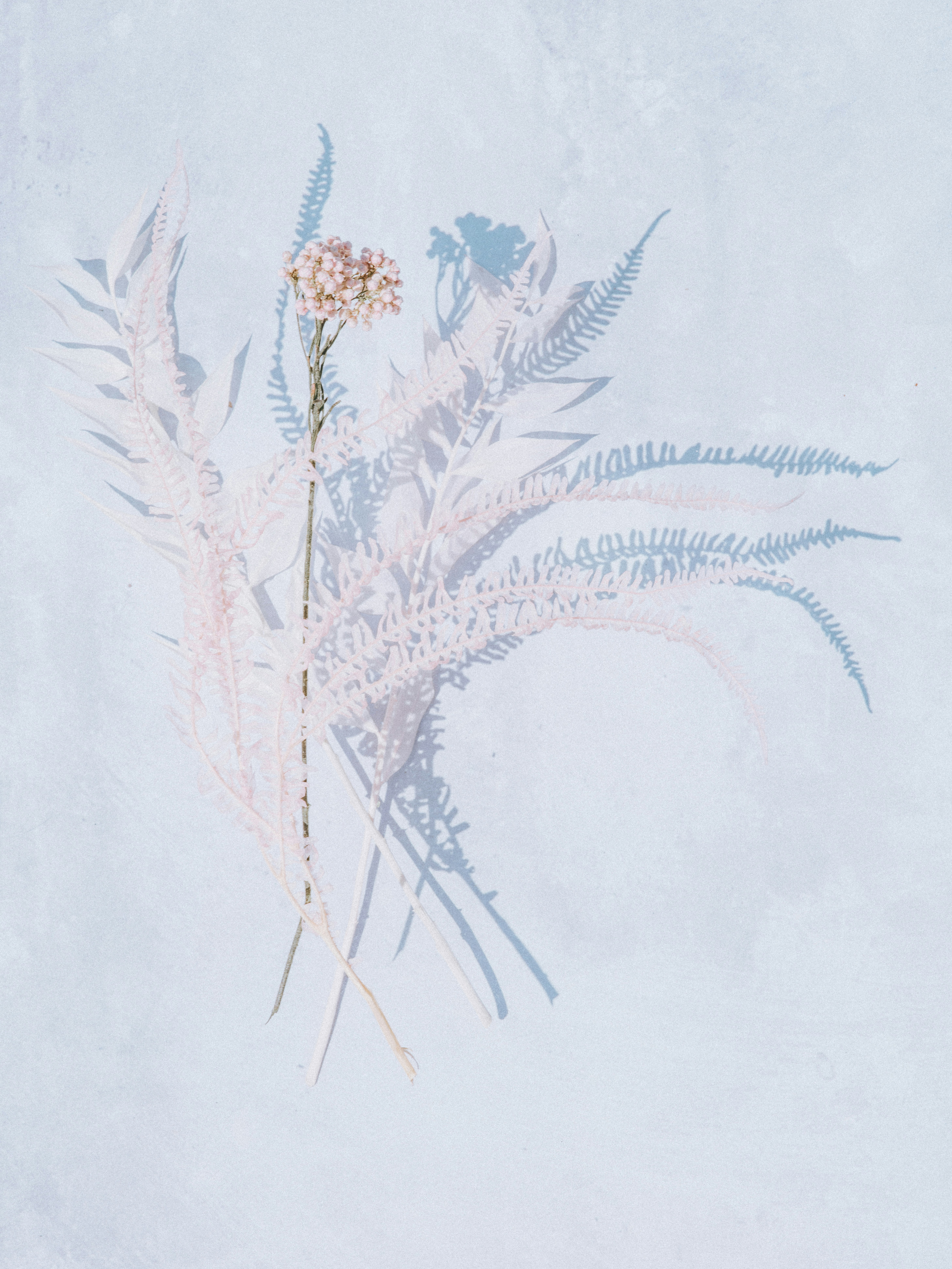 Photo by anniespratt