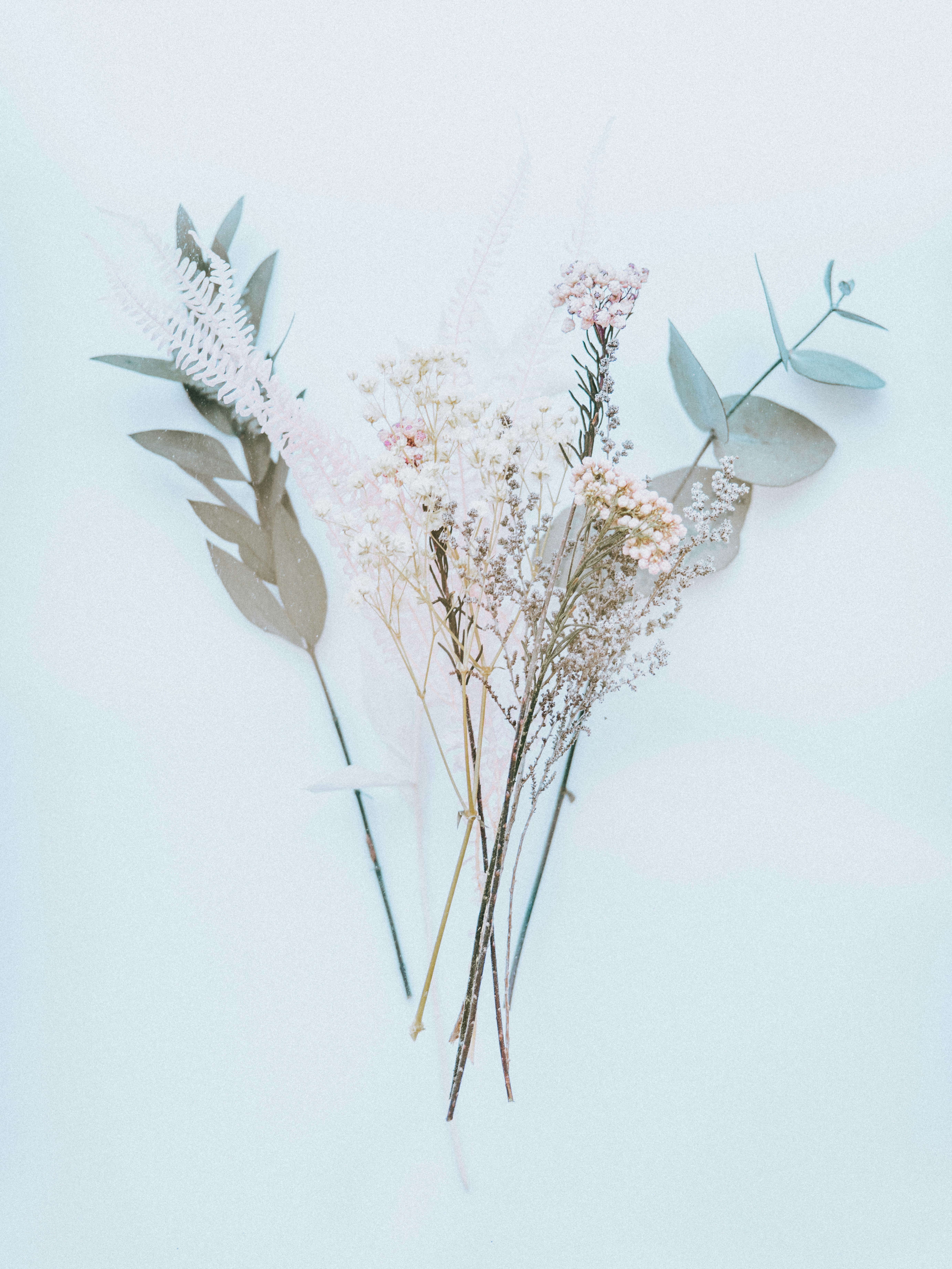 Photo by anniespratt