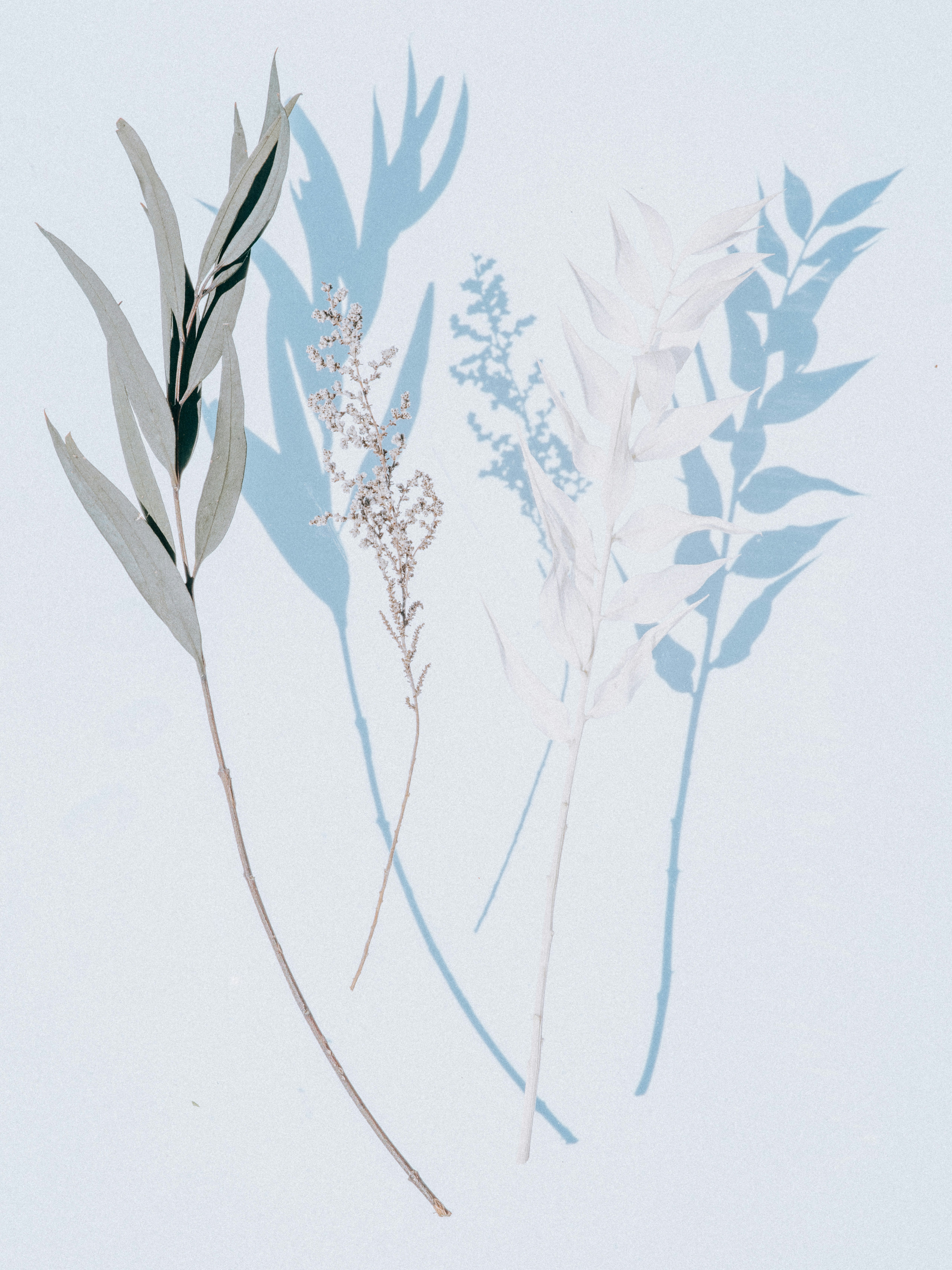 Photo by anniespratt