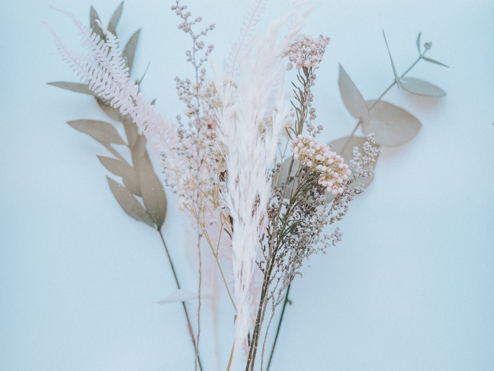 plante blanche et brune sur neige blanche