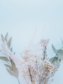 A vibrant flower board with blue and white blooms arranged elegantly against a soft background