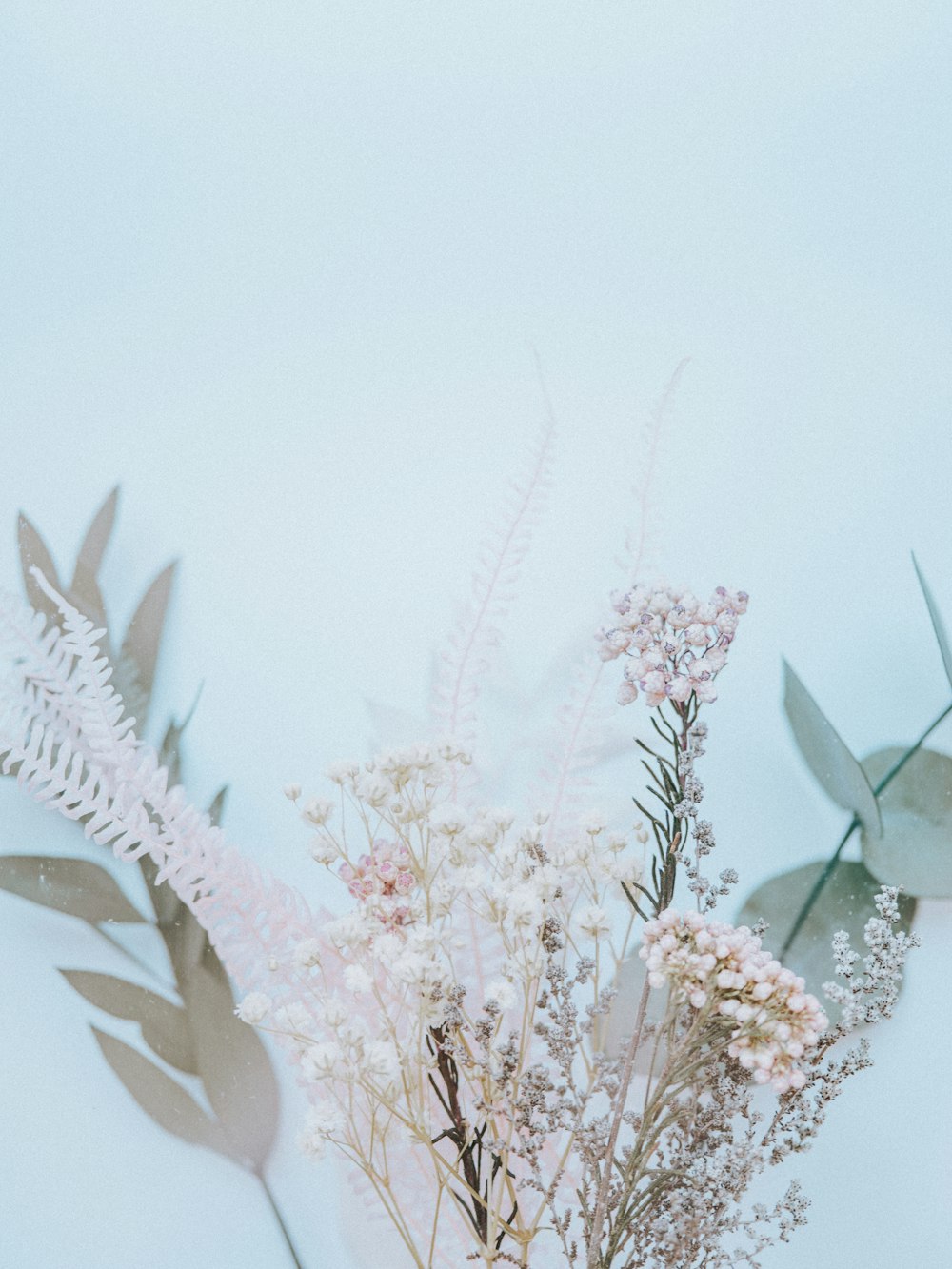 Flores blancas y rosadas en fotografía de primer plano