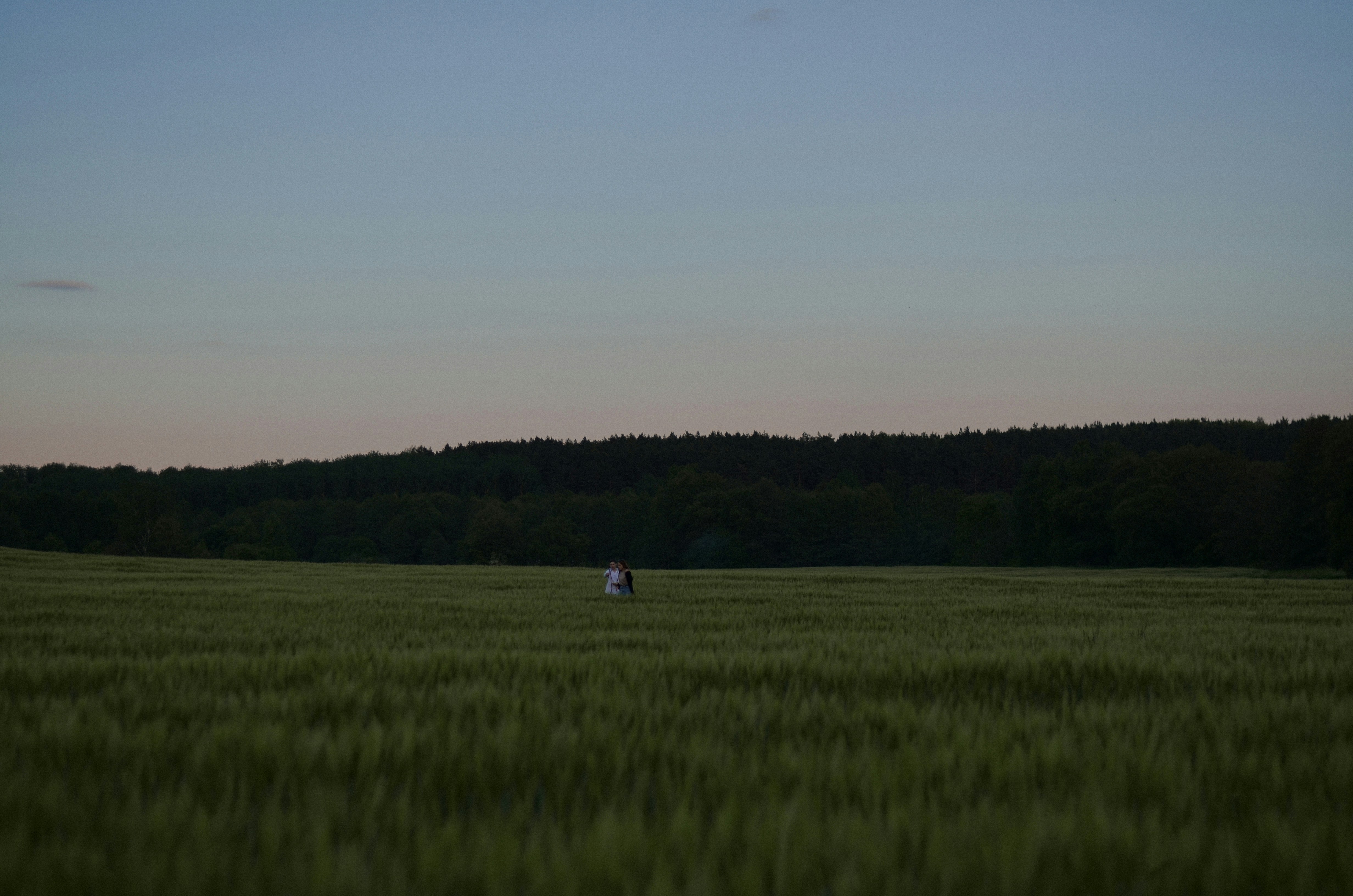 Two people standing in a wide green field