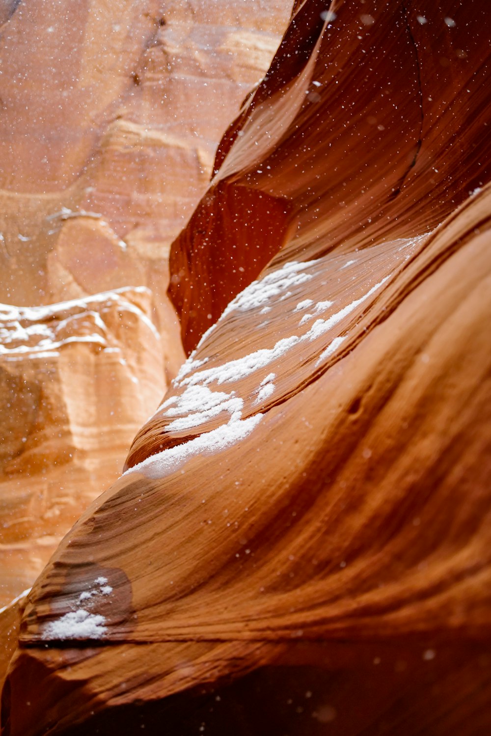 brown and white rock formation