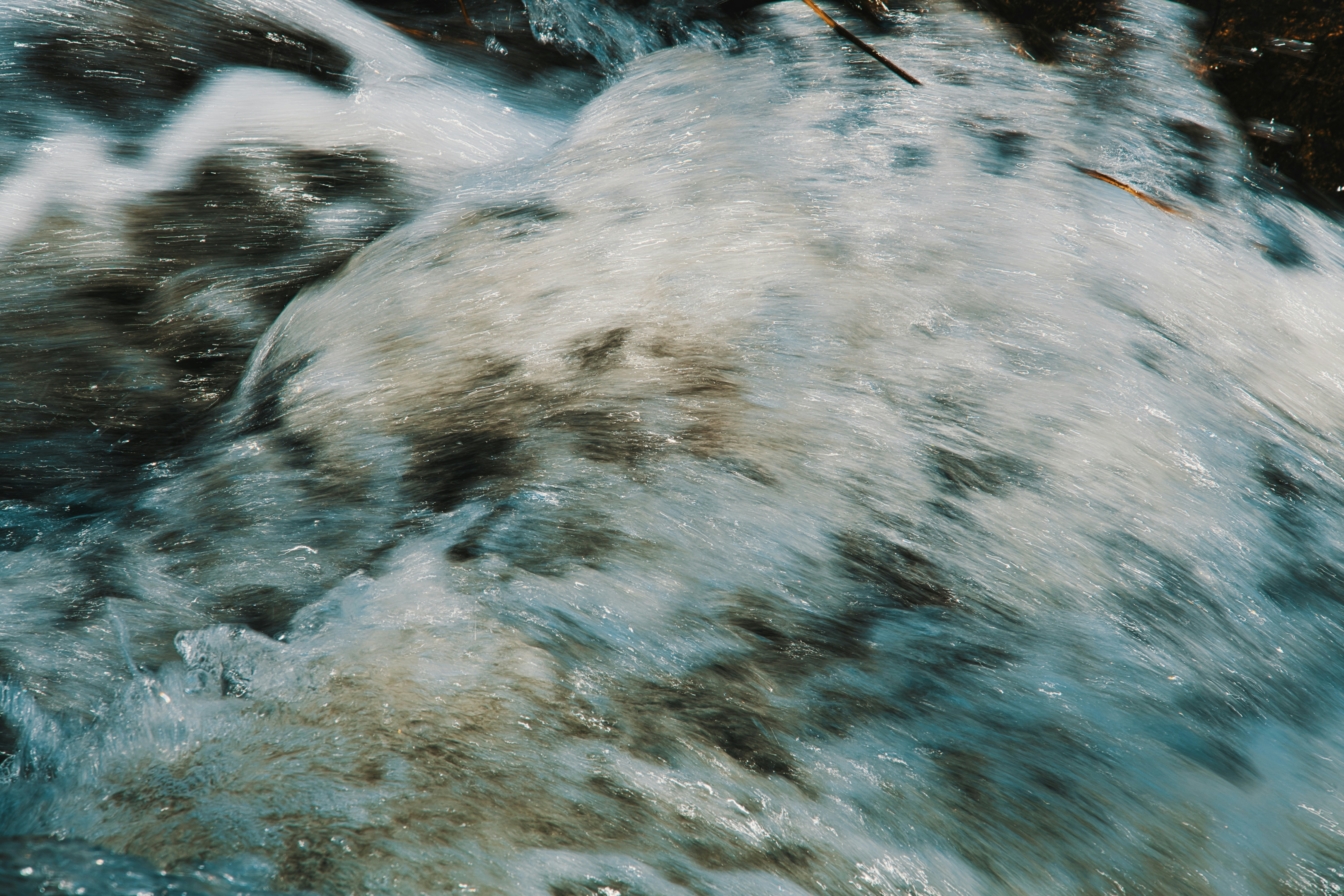 white and black abstract painting