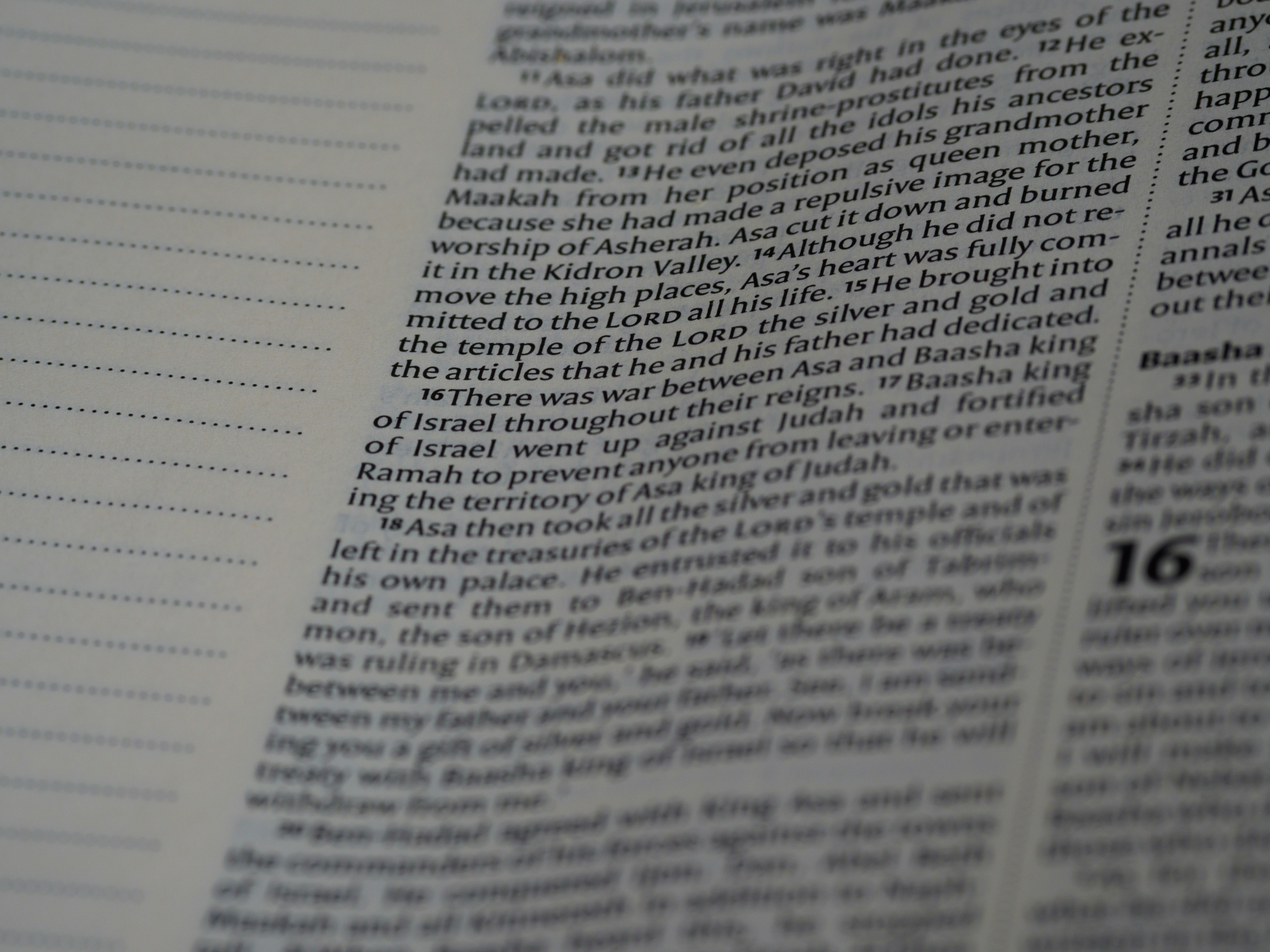 Photo by brett_jordan