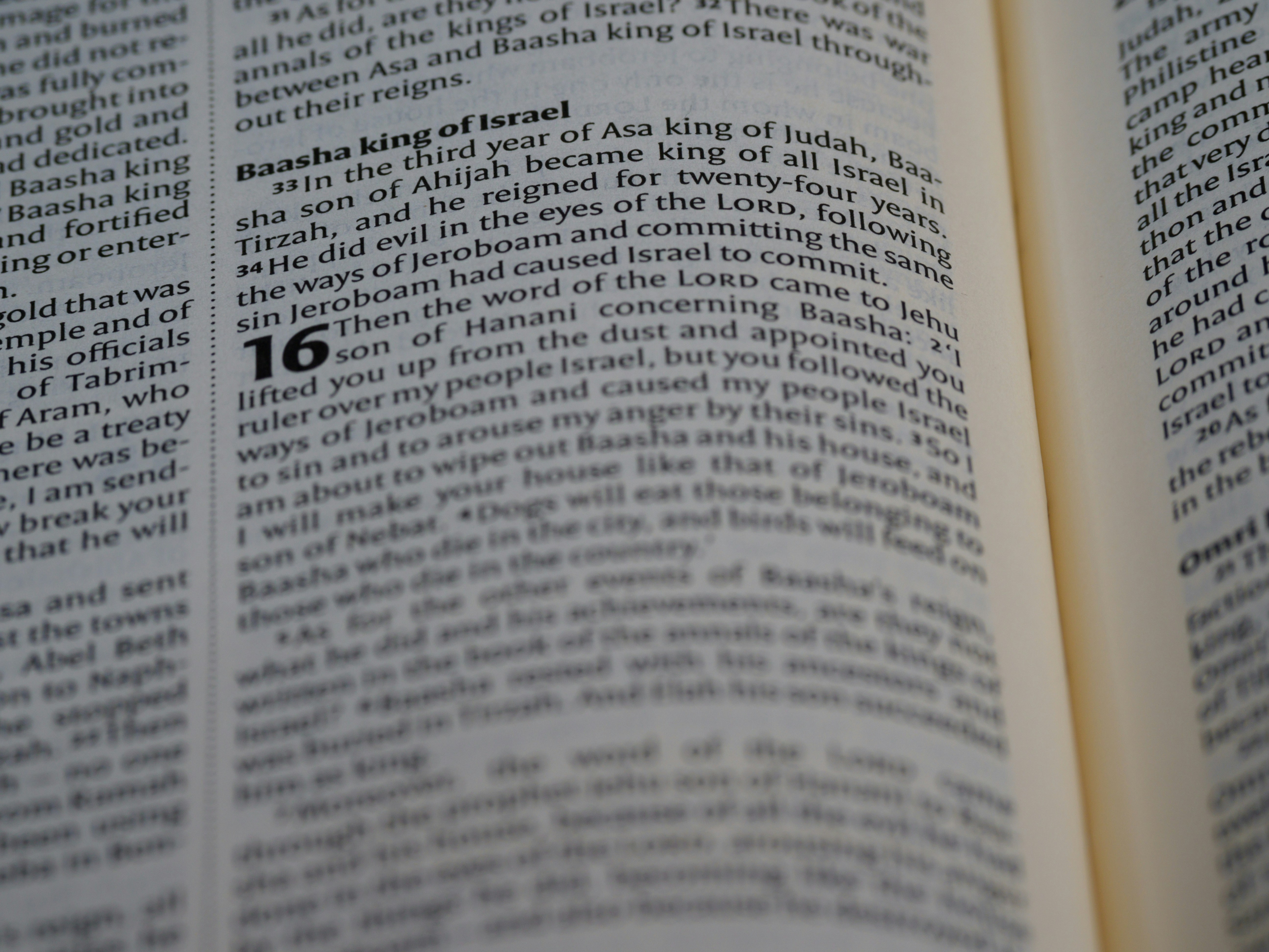 Photo by brett_jordan