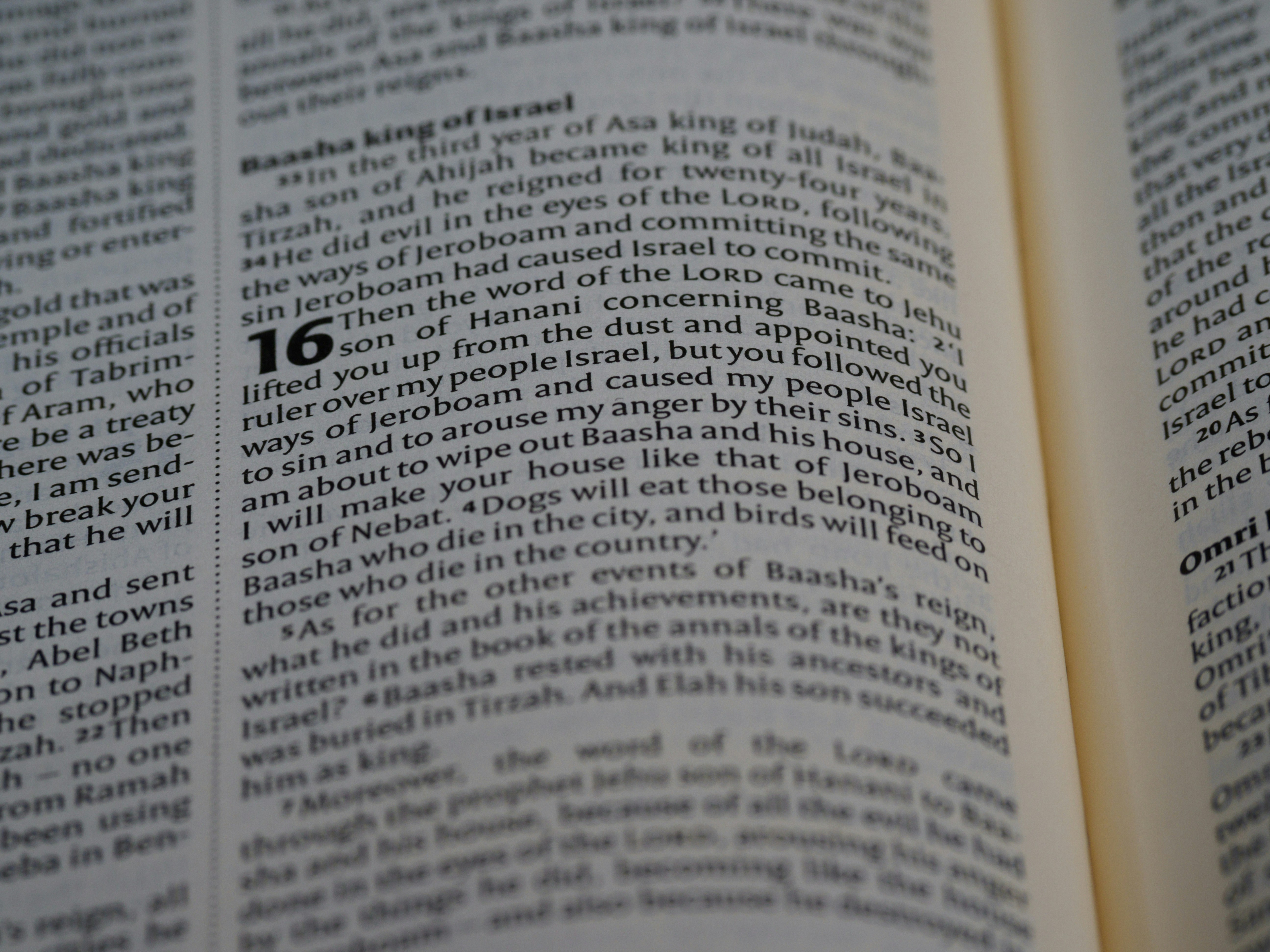 Photo by brett_jordan