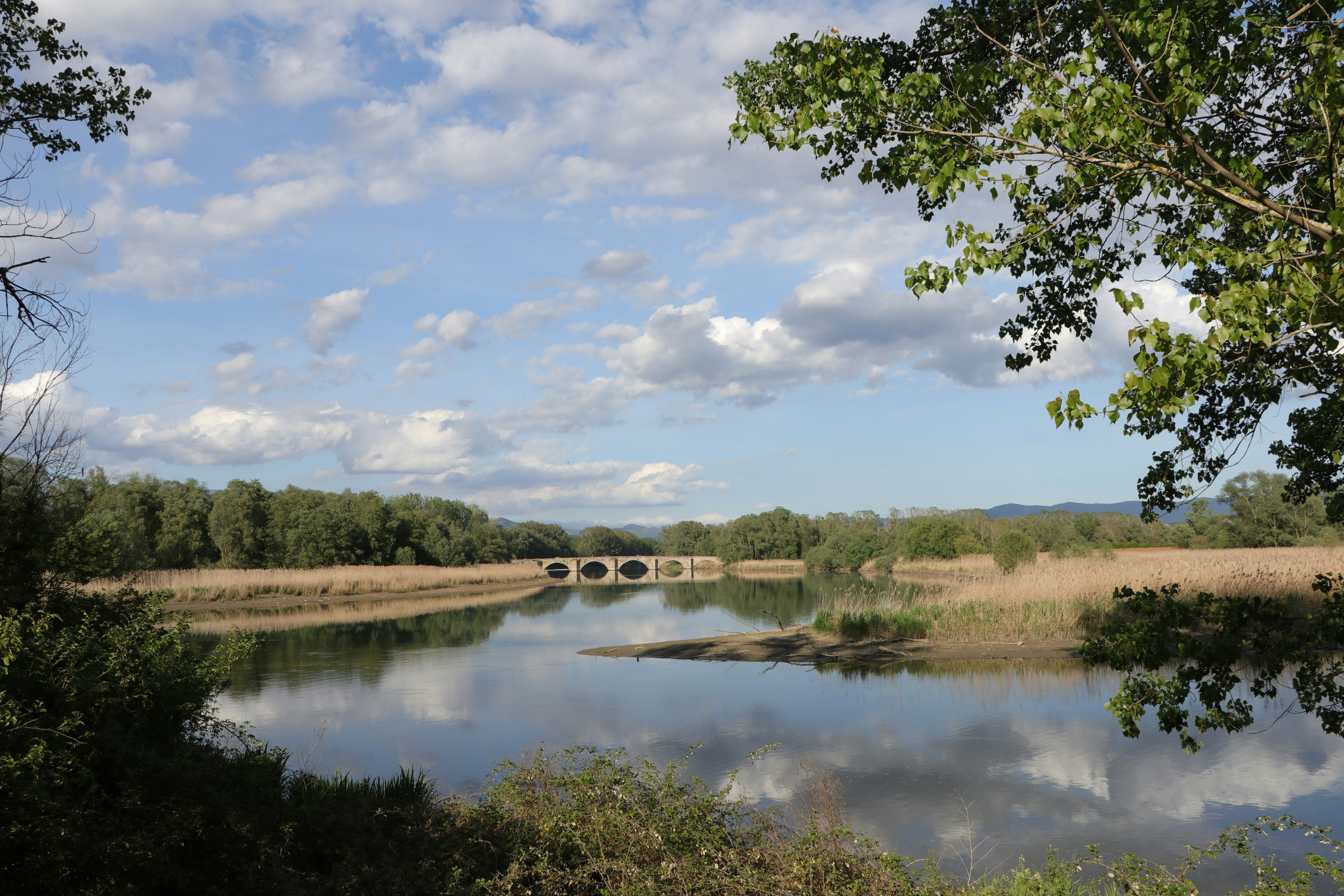 Photo by giuseppe_fattore