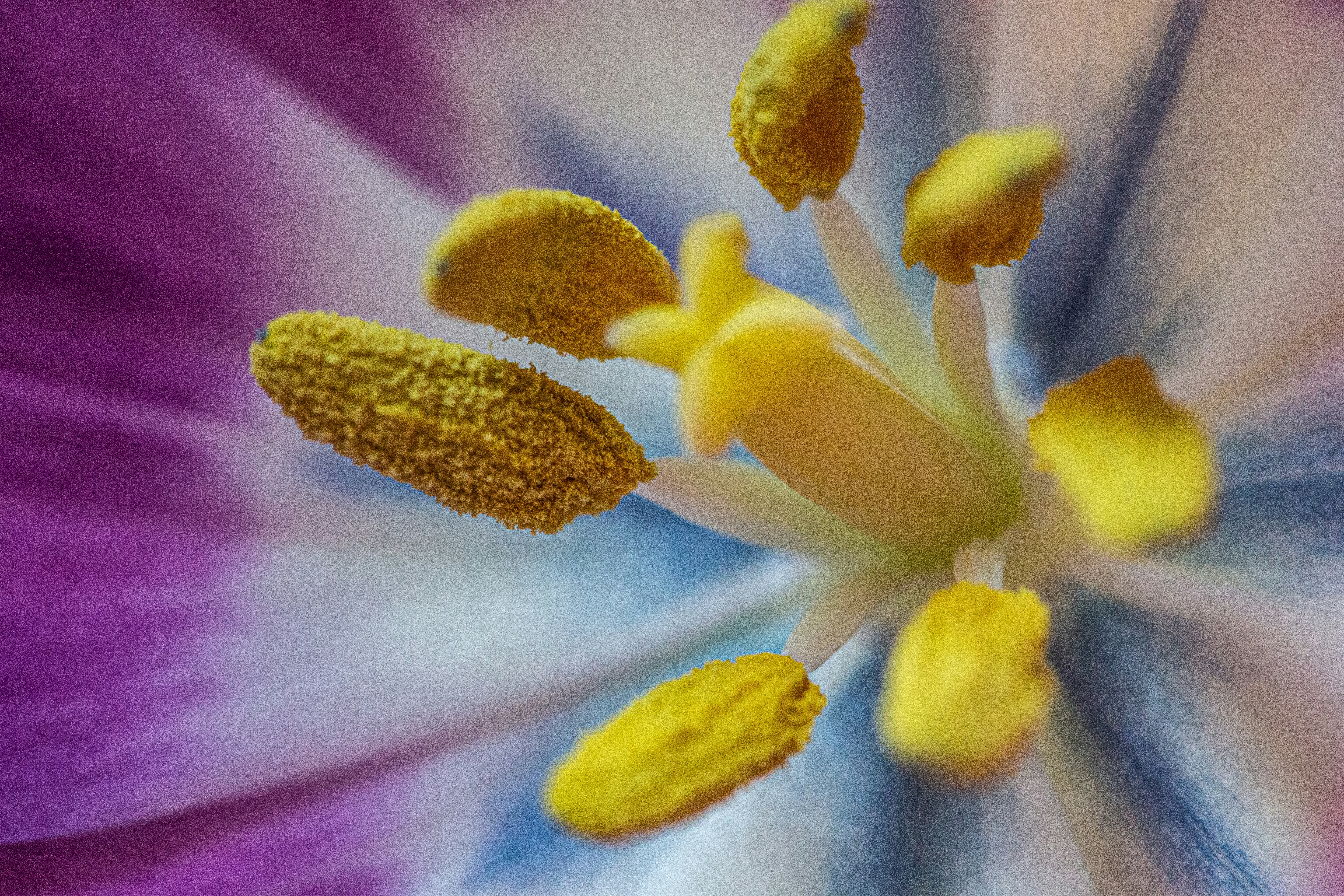 Photo by wilhelmgunkel