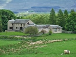 A large, beige-colored house stands in the middle of a lush green landscape. The house has multiple sections and rooftops, surrounded by manicured lawns and various trees. In the foreground, a sheep grazes on the grass.