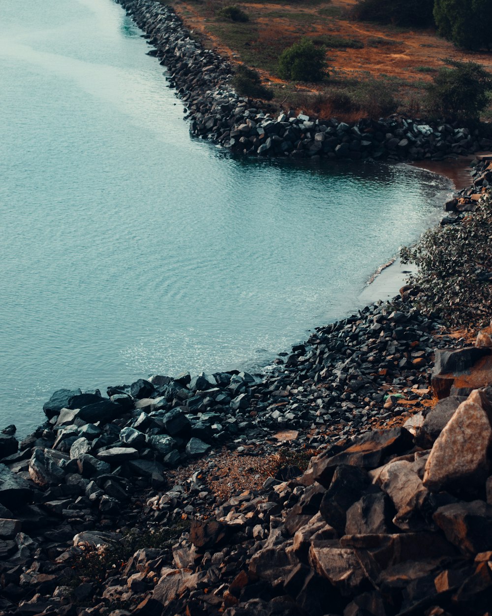 brown rocky shore near body of water during daytime