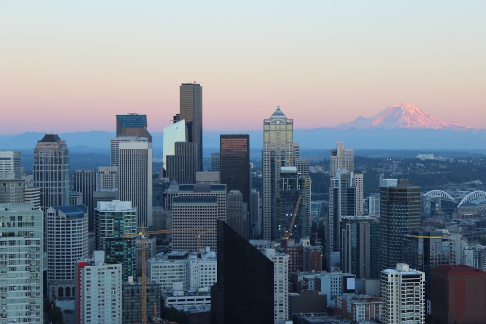 city skyline during day time