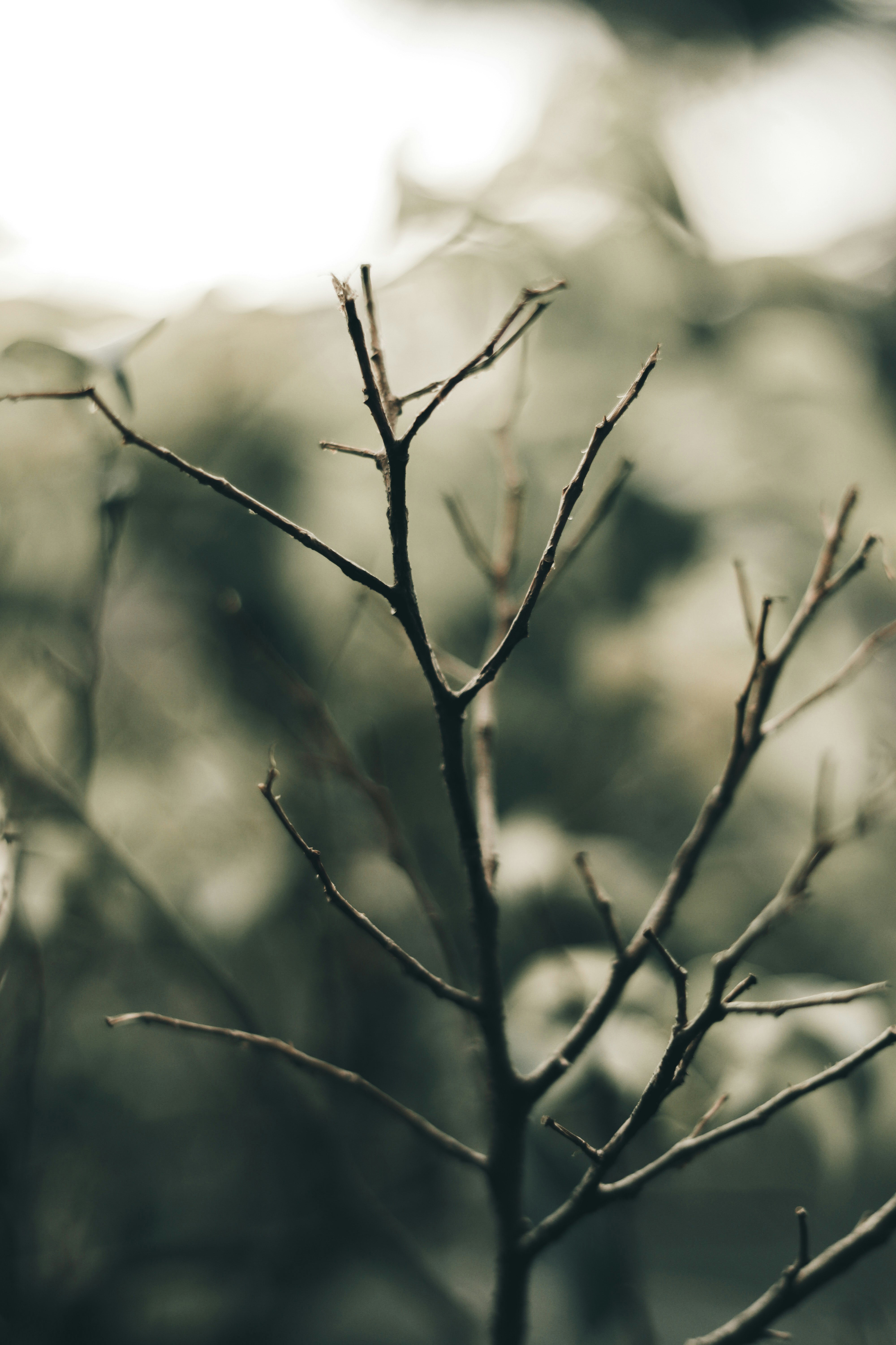 Photo by joywinpin5o