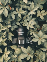 Advanced sensor and imaging device with glowing neon accents against dark green foliage.