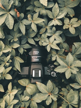 Advanced sensor and imaging device with glowing neon accents against dark green foliage.