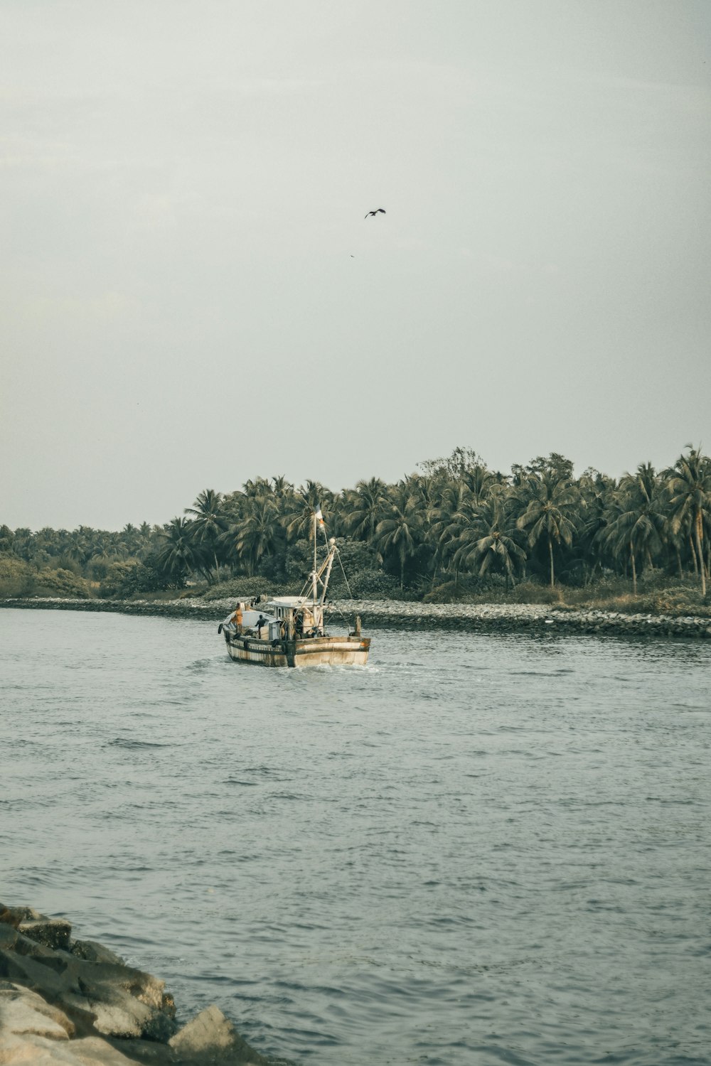 white and brown boat on sea during daytime