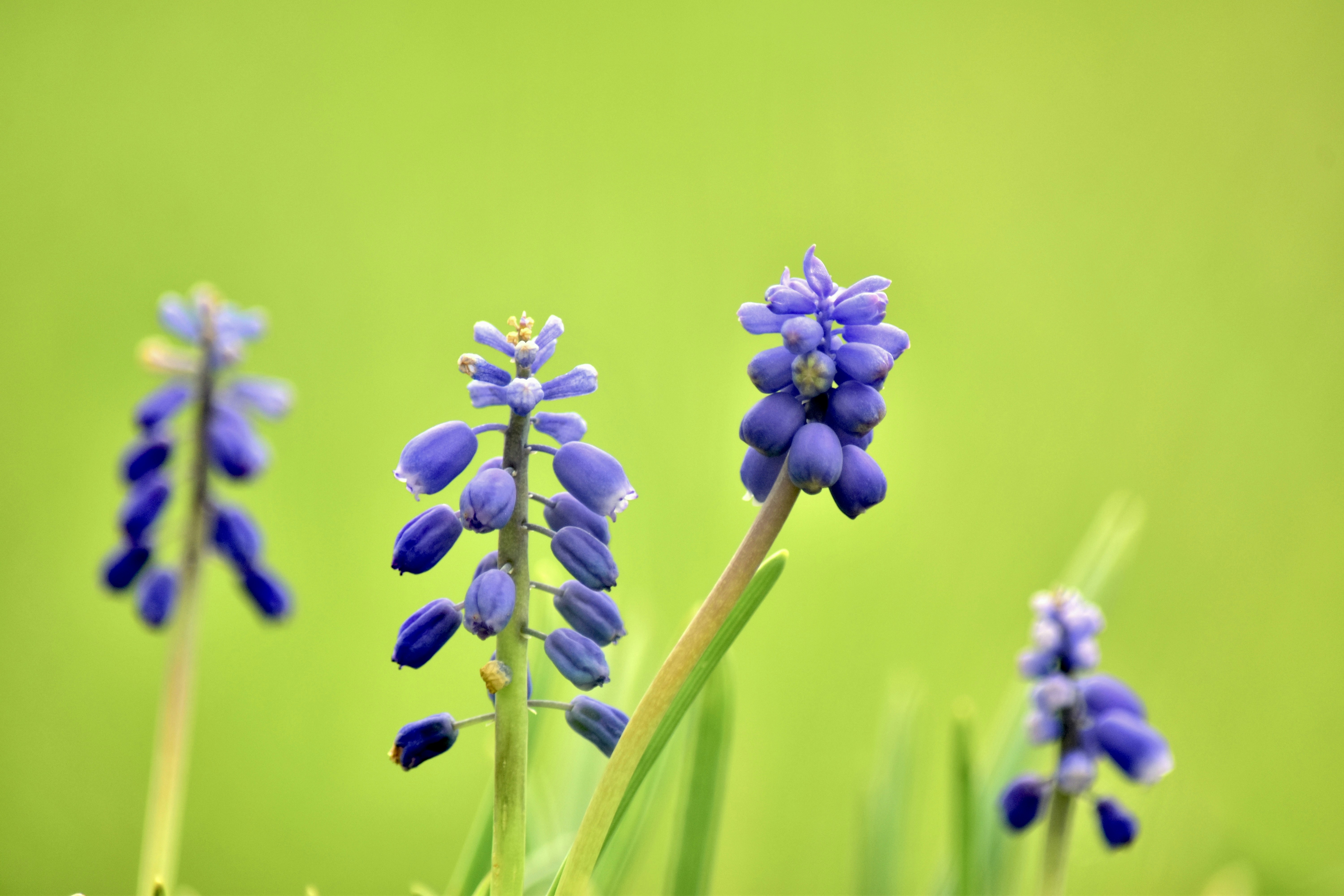 Photo by dhphotography24