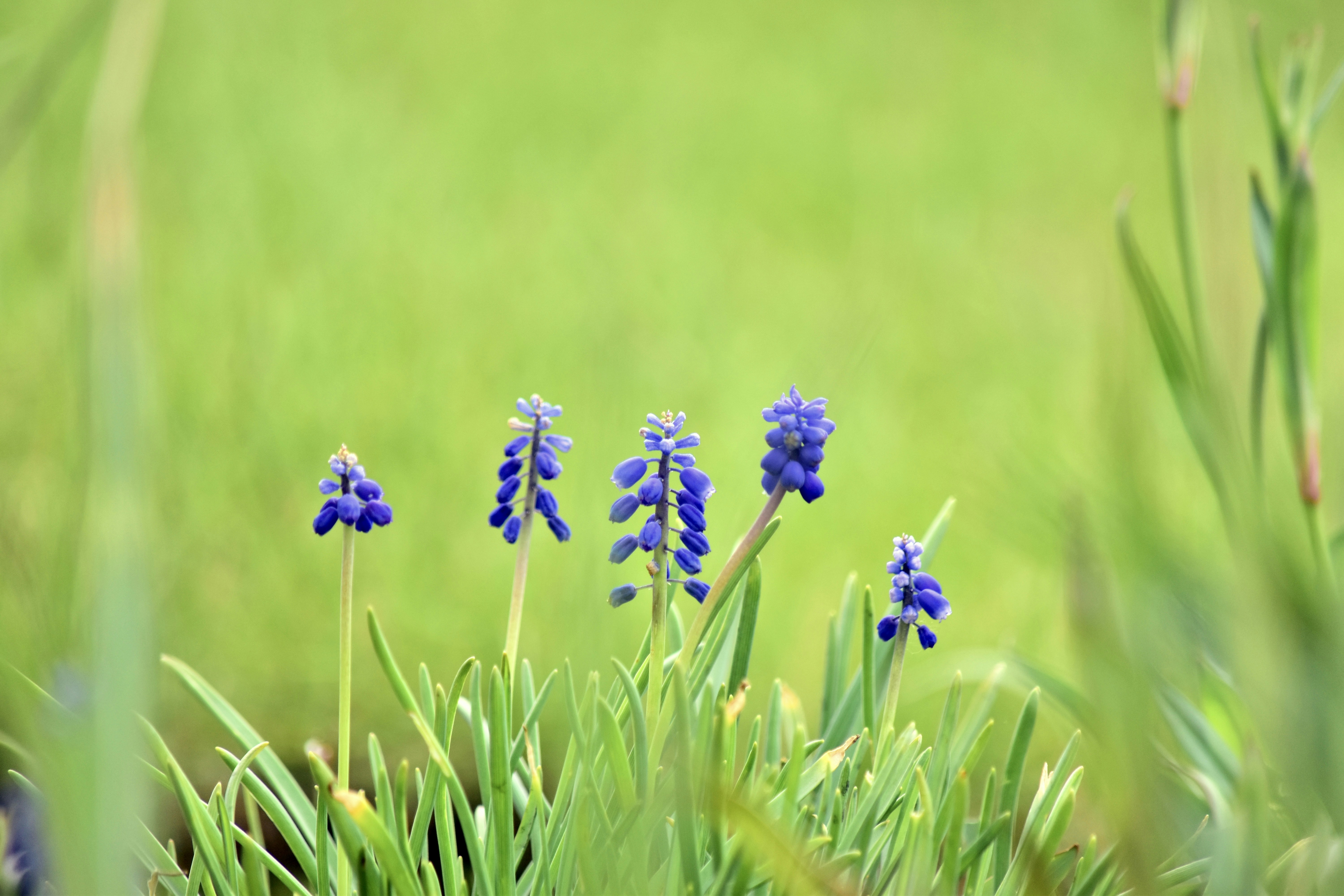 Photo by dhphotography24