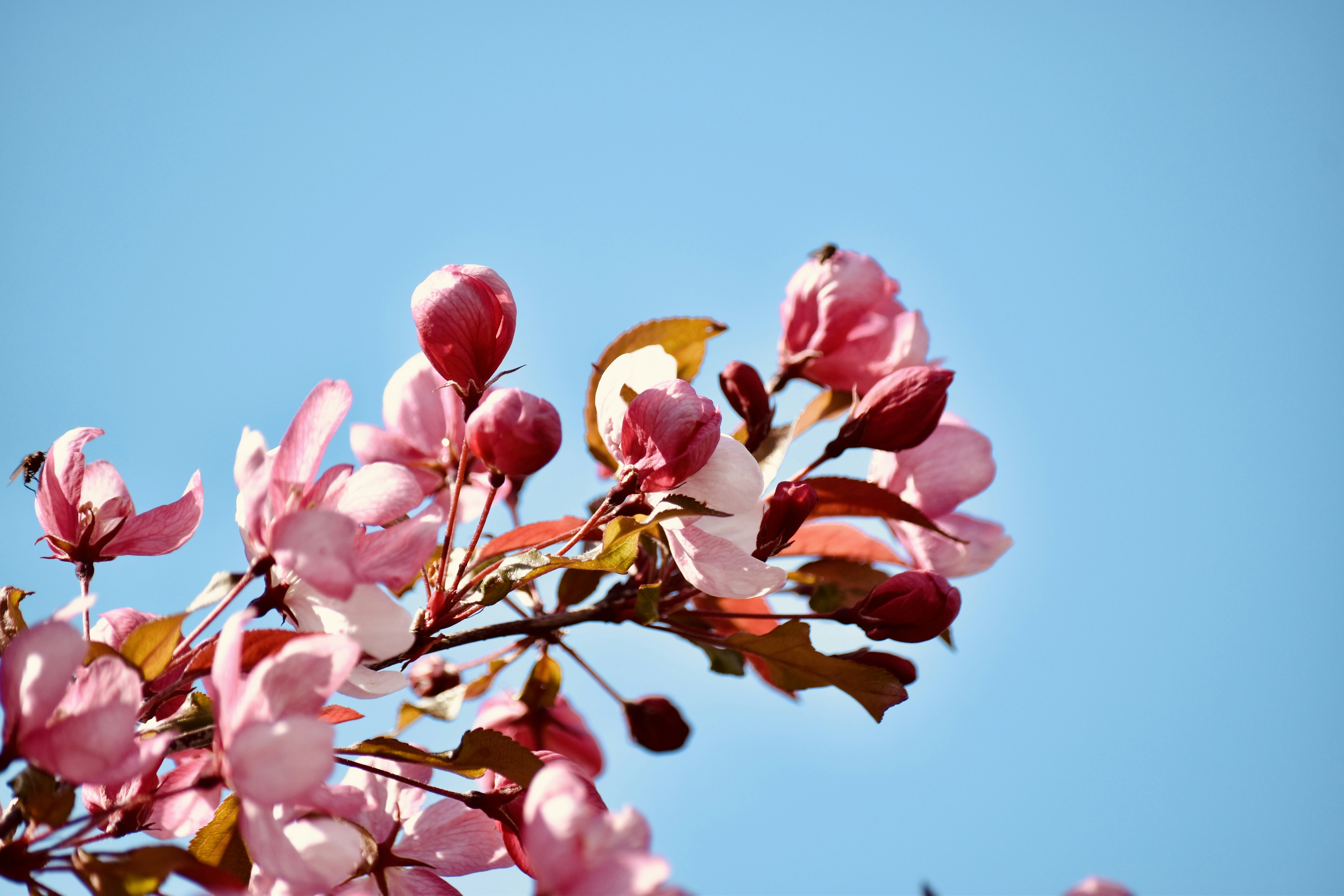 Photo by dhphotography24