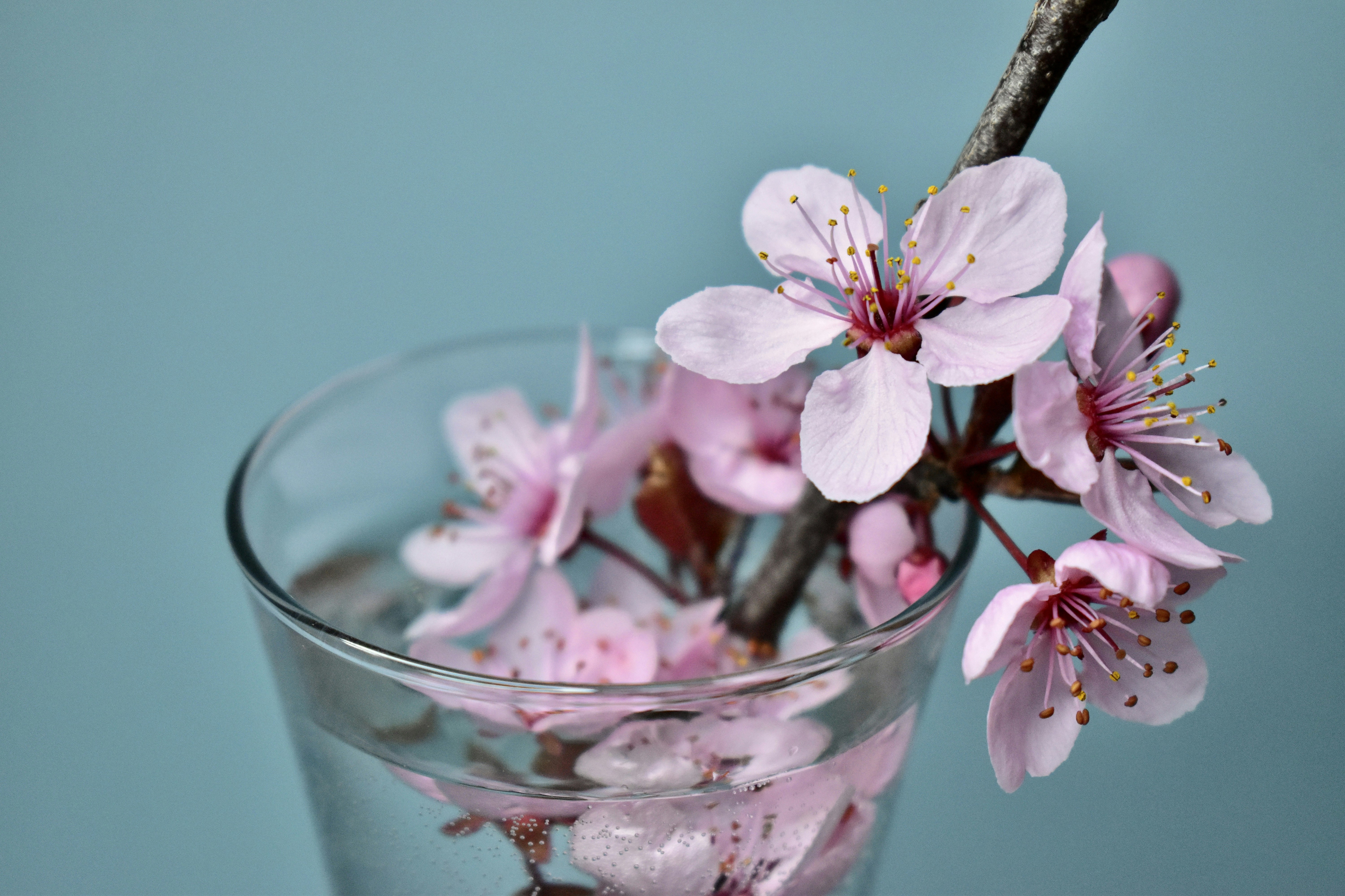 Photo by dhphotography24