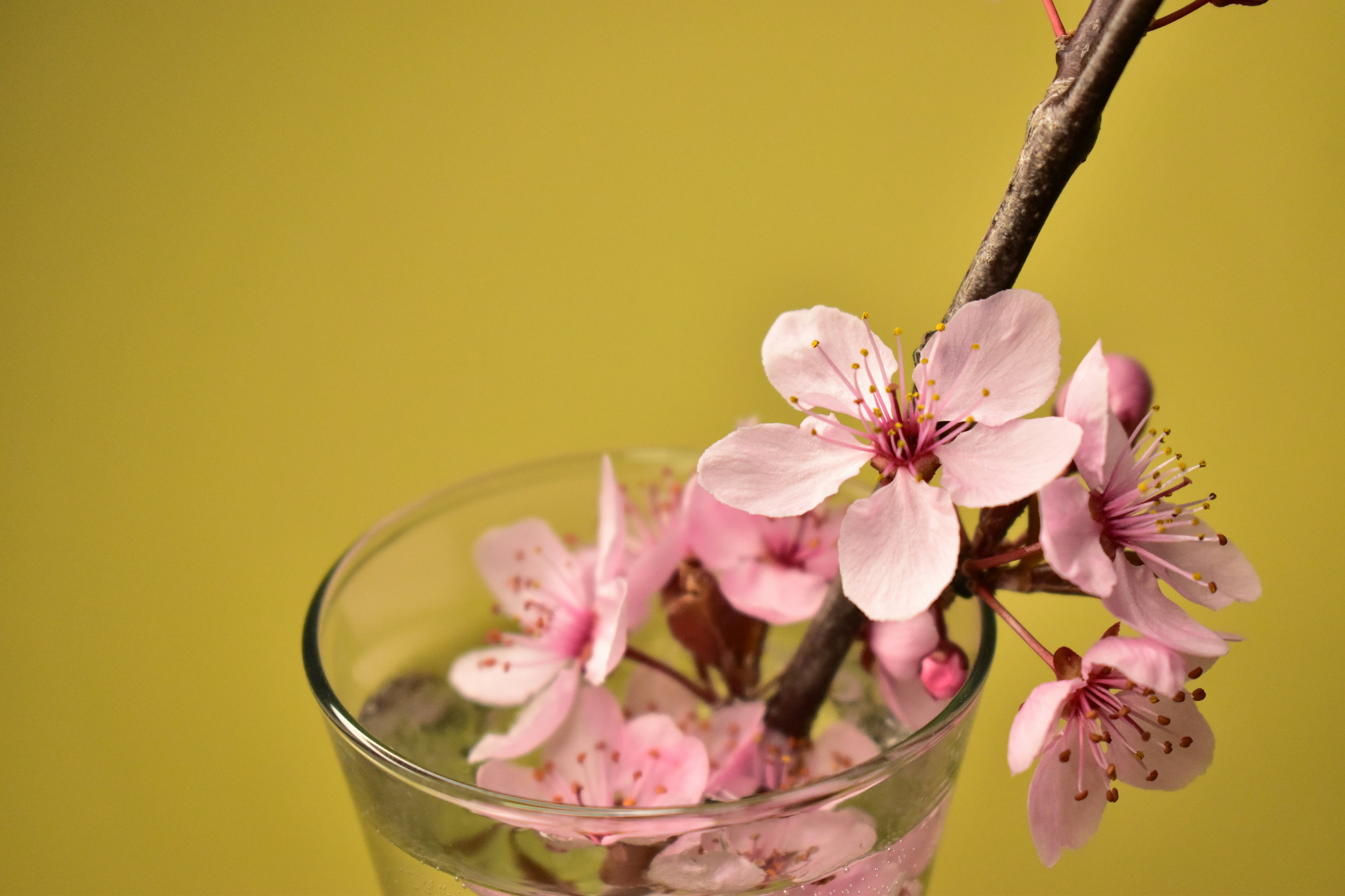 Photo by dhphotography24