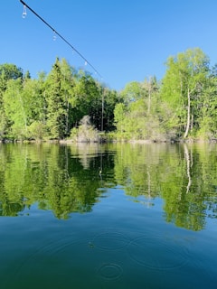An angler casting a line with a custom jig in a serene lake.