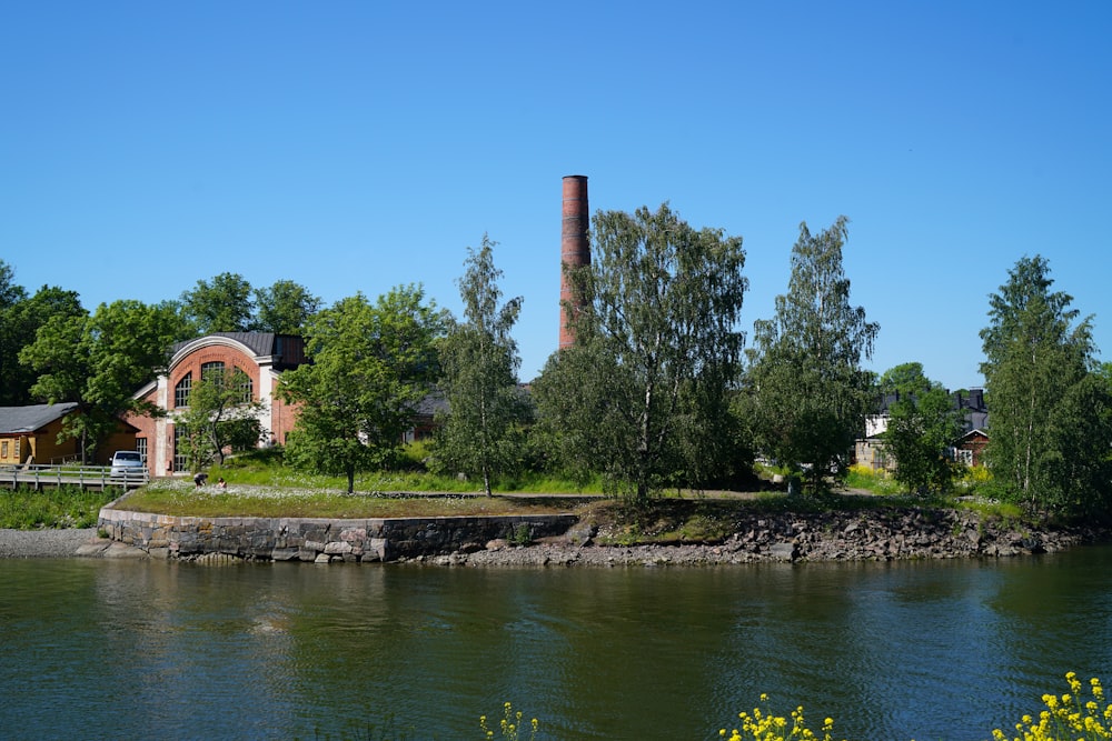 Grüne Bäume am Fluss während des Tages