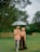 Ulasan new star wedding