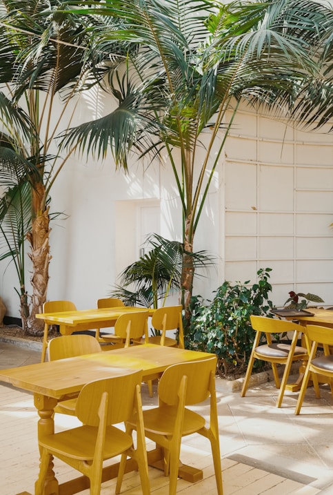 el mobiliario adecuando para tu cafeteria en Quintana Roo