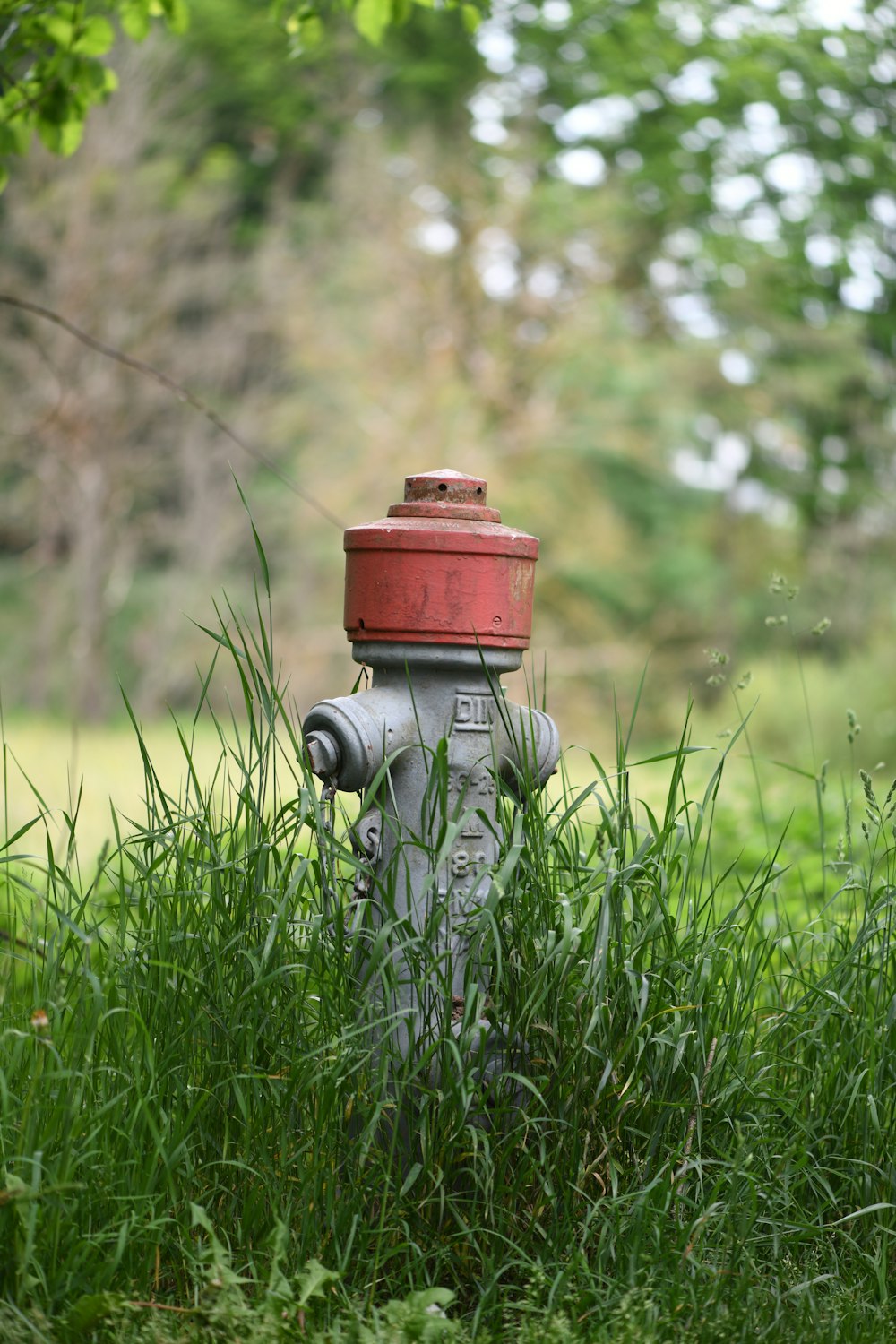 red and gray fire hydrant on green grass field during daytime