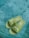 A pair of green slides with white text design rests on a textured concrete surface. The slides have a perforated texture on the footbed and prominently display a brand logo across the straps.