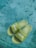 A pair of green slides with white text design rests on a textured concrete surface. The slides have a perforated texture on the footbed and prominently display a brand logo across the straps.