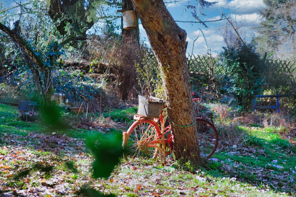 Vélo rouge à côté du tronc d’arbre brun