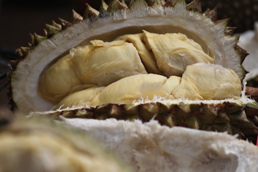 A close-up of a durian fruit that has been cut open to reveal its creamy, yellow flesh. The outer shell is spiky and green-brown in color. The fruit segments are nestled inside the hard outer rind.